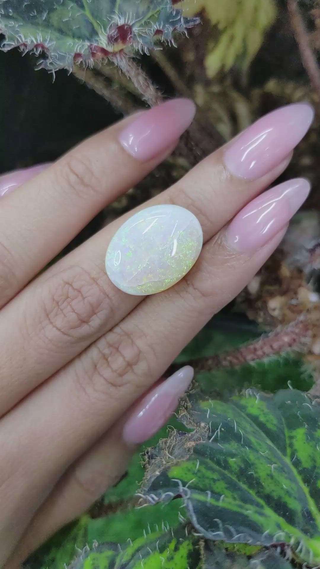 11.39 Ct. Cabochon White Opal from Australia Size Video