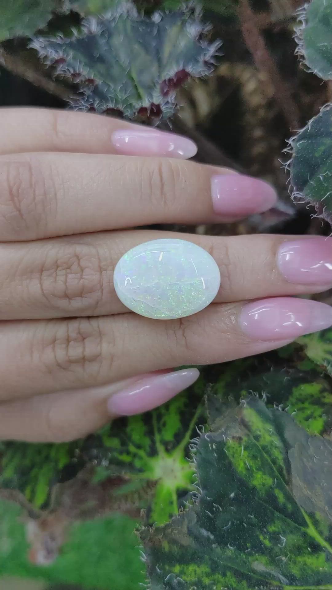 11.39 Ct. Cabochon White Opal from Australia Size Video