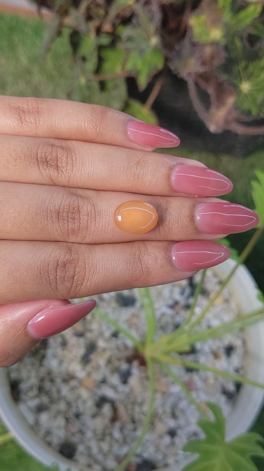 3.40 Ct. Cabochon Jelly Opal from Australia Size Video