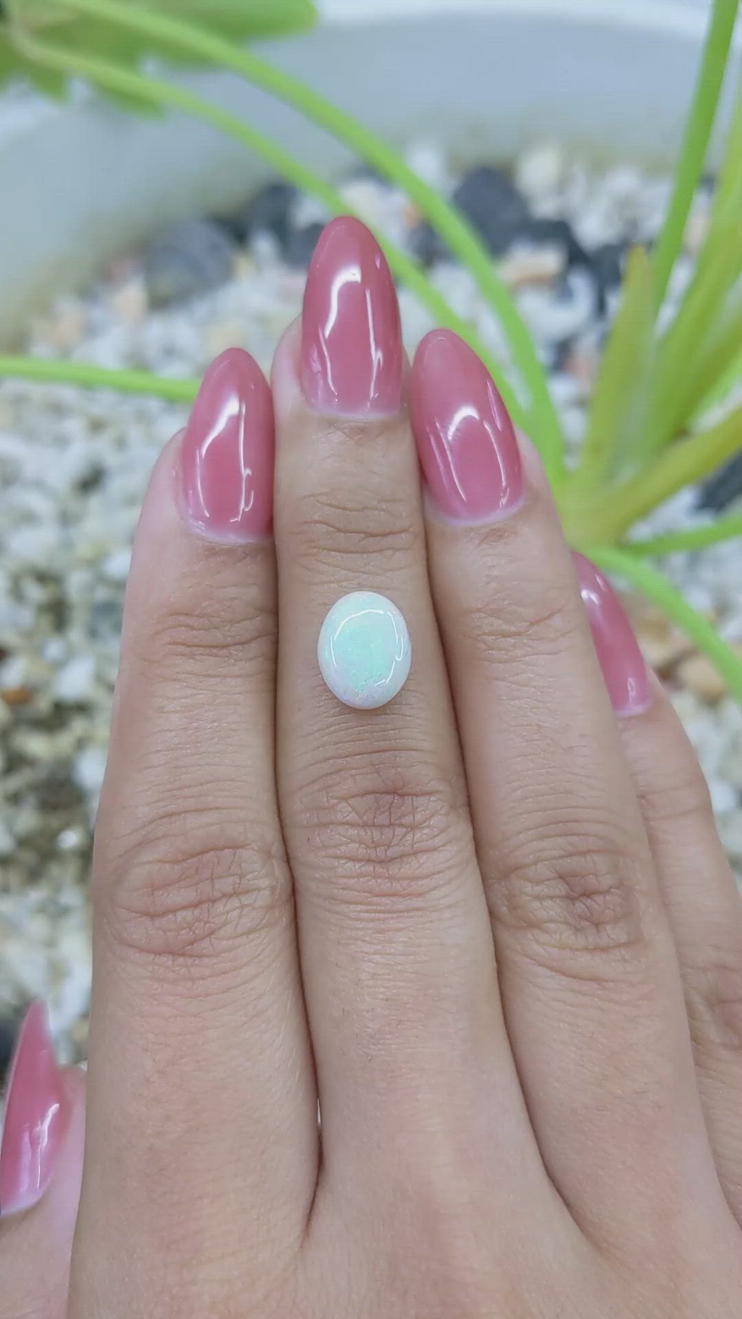 1.30 Ct. Cabochon White Opal from Australia Size Video