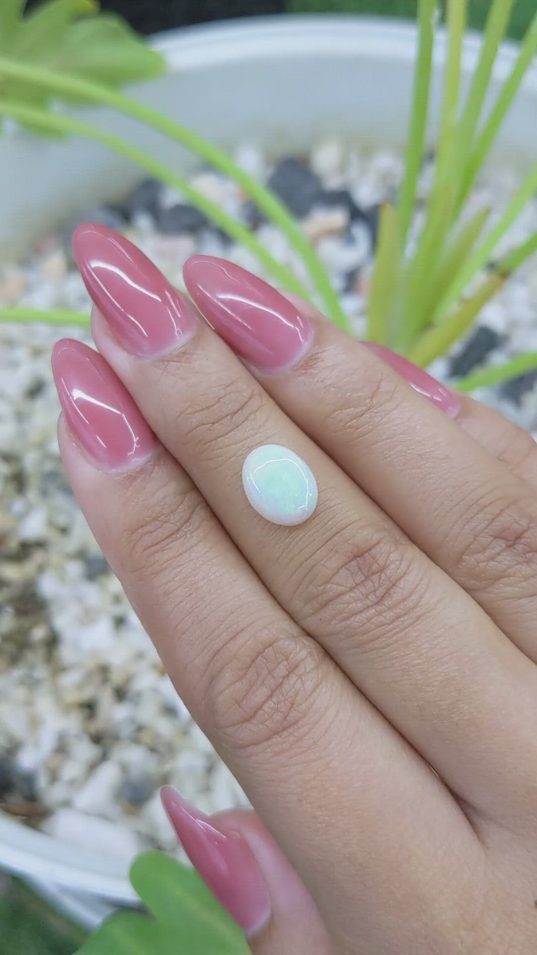 1.30 Ct. Cabochon White Opal from Australia Size Video