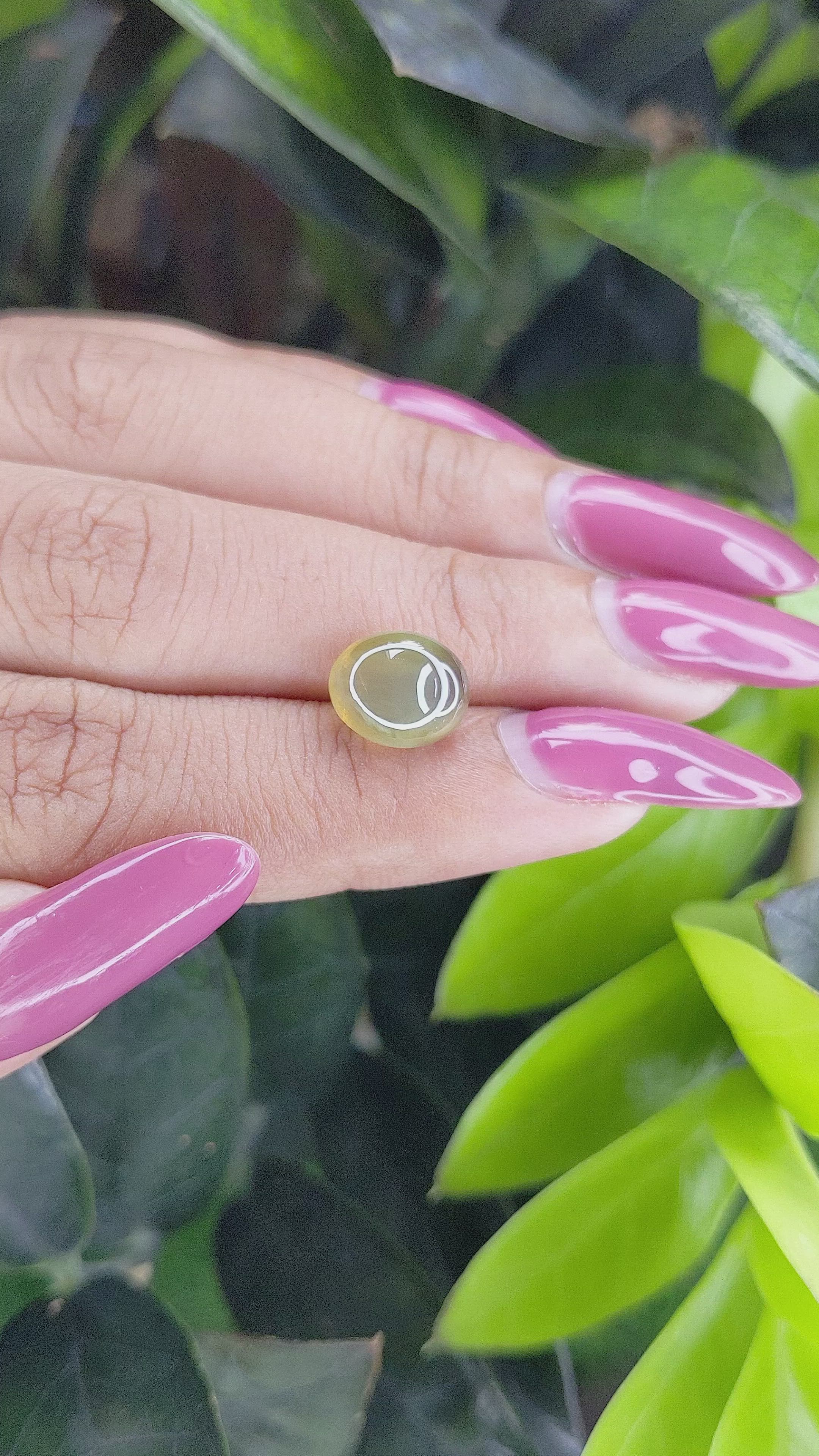 5.09 Ct. Cabochon Chrysoberyl from Ceylon (Sri Lanka) Size Video