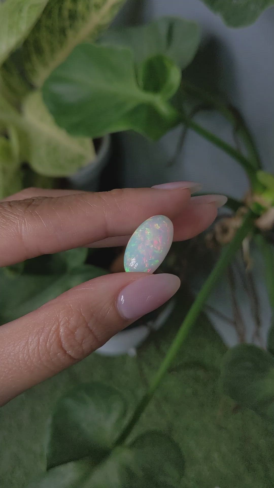 7.21 Ct. Cabochon White Opal from Australia Size Video