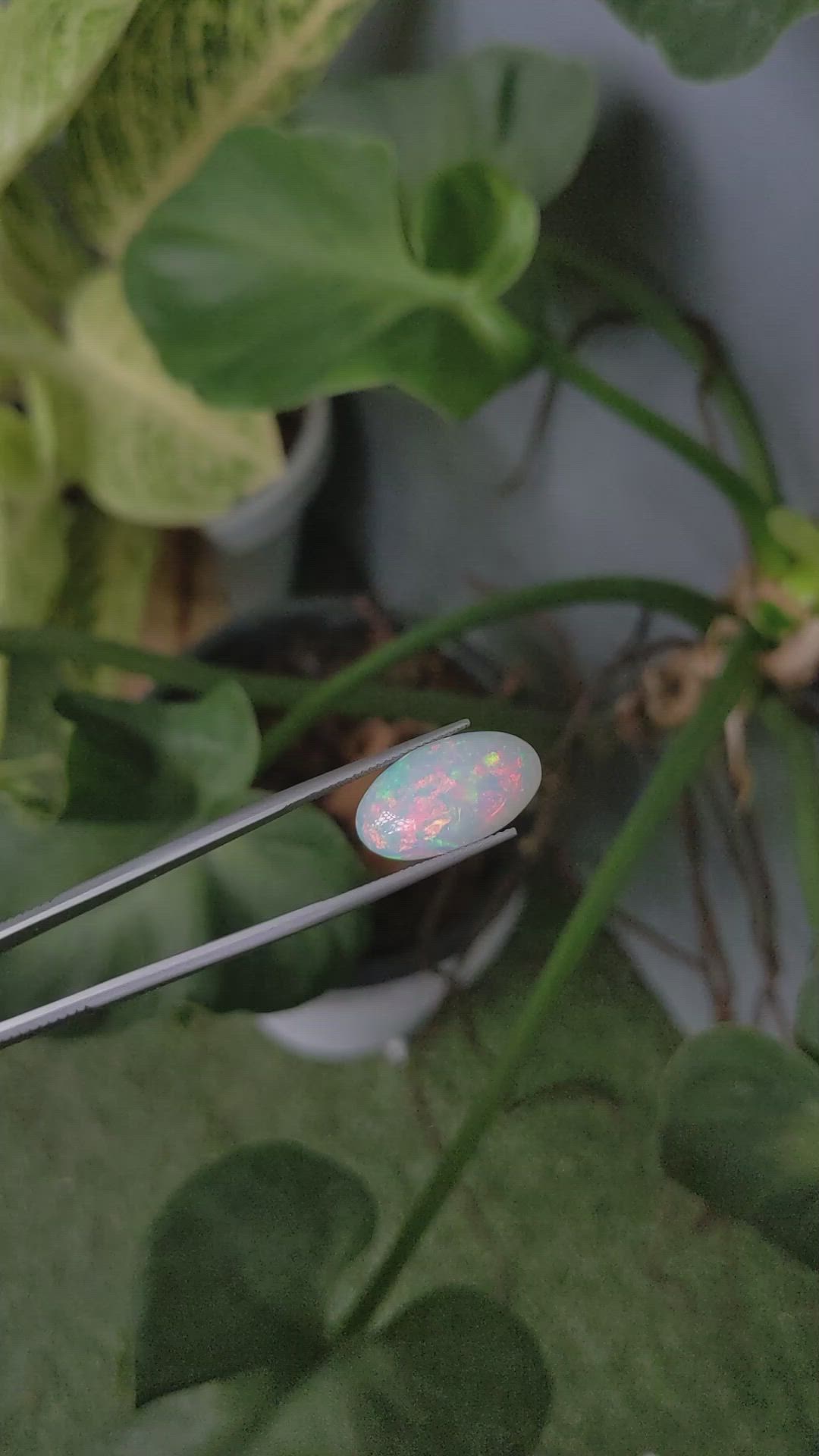 7.21 Ct. Cabochon White Opal from Australia Size Video