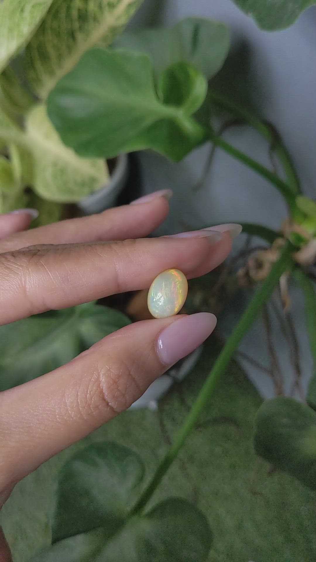 3.97 Ct. Cabochon White Opal from Australia Size Video