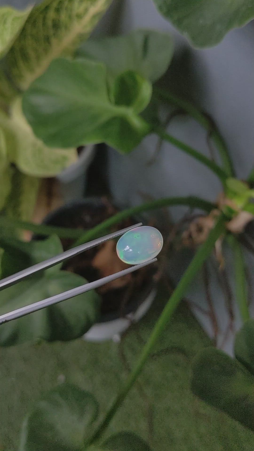 4.85 Ct. Cabochon White Opal from Australia Size Video