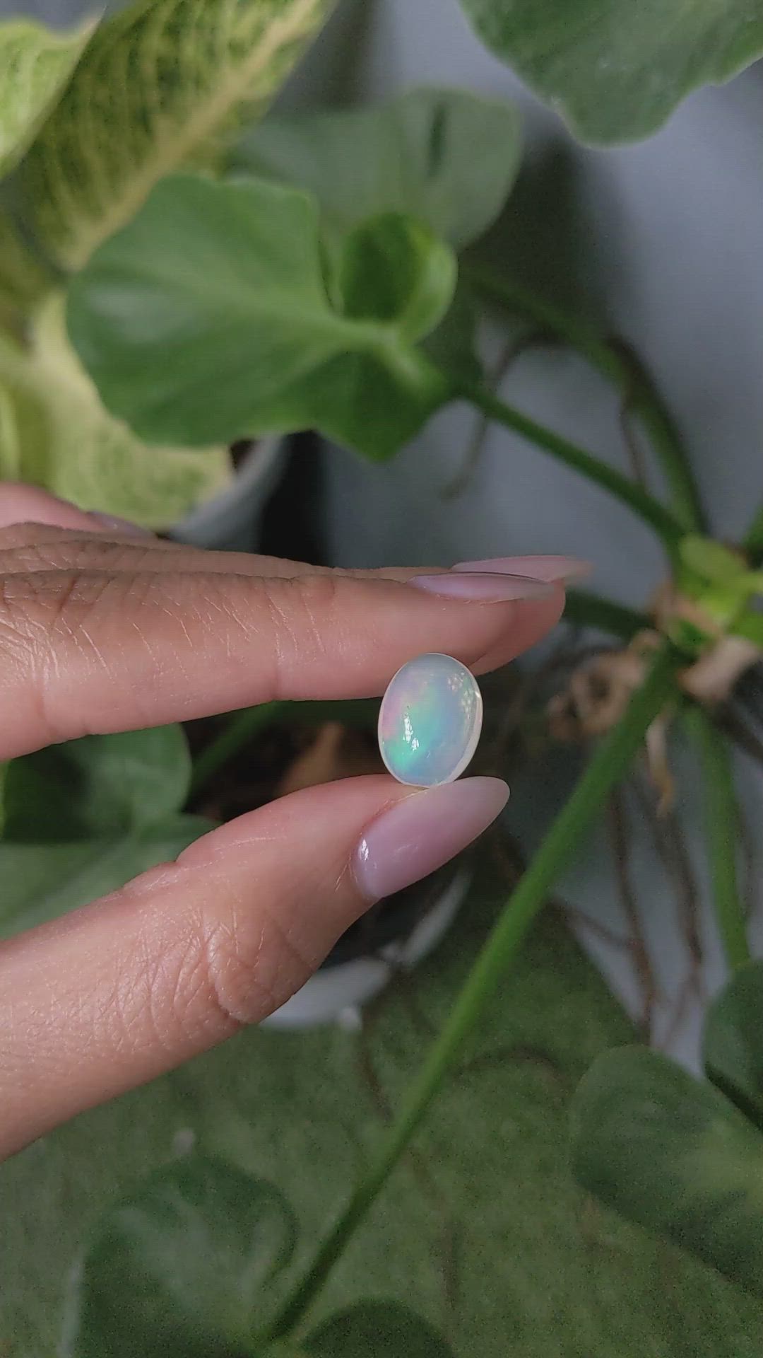 4.85 Ct. Cabochon White Opal from Australia Size Video