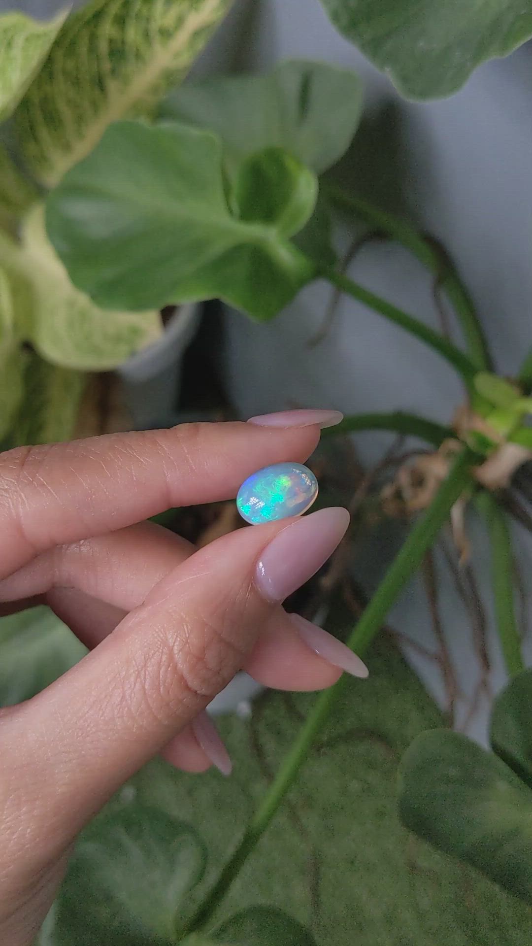3.01 Ct. Cabochon White Opal from Australia Size Video