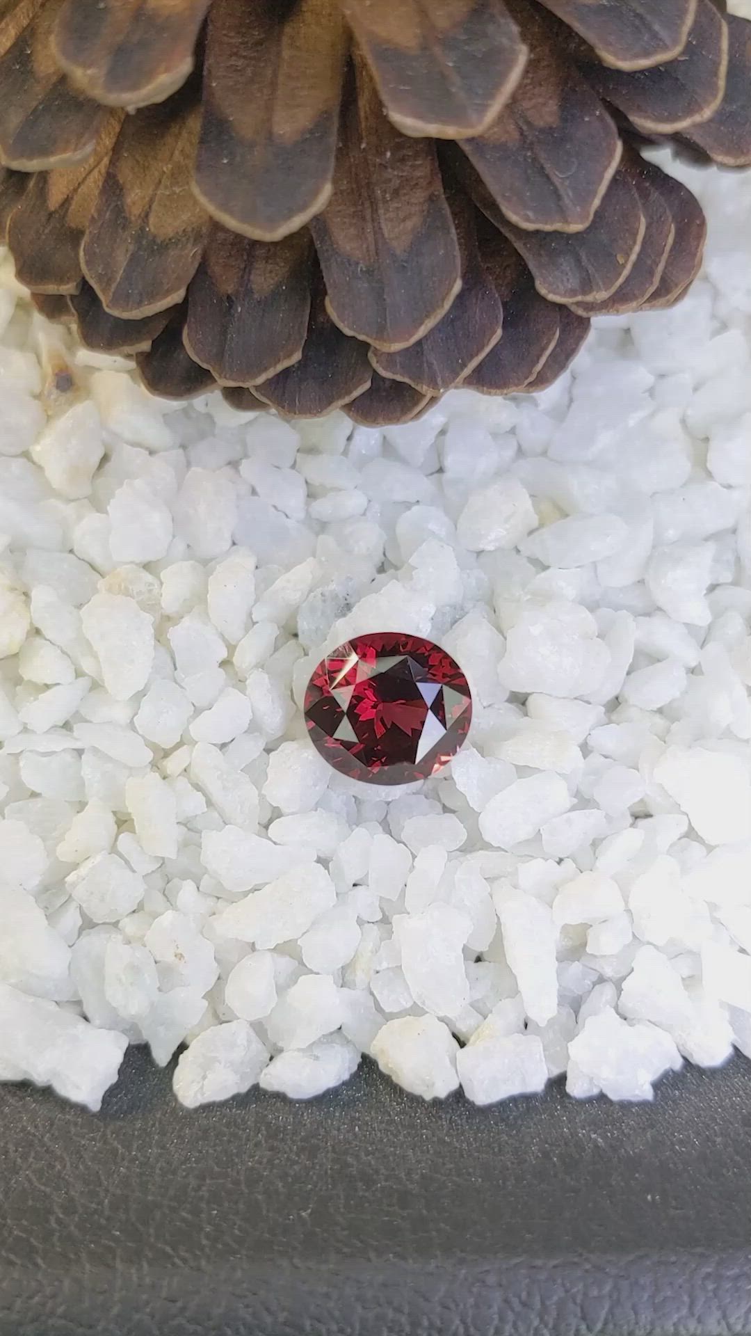 11.65 Ct. Garnet from Ceylon (Sri Lanka) Size Video