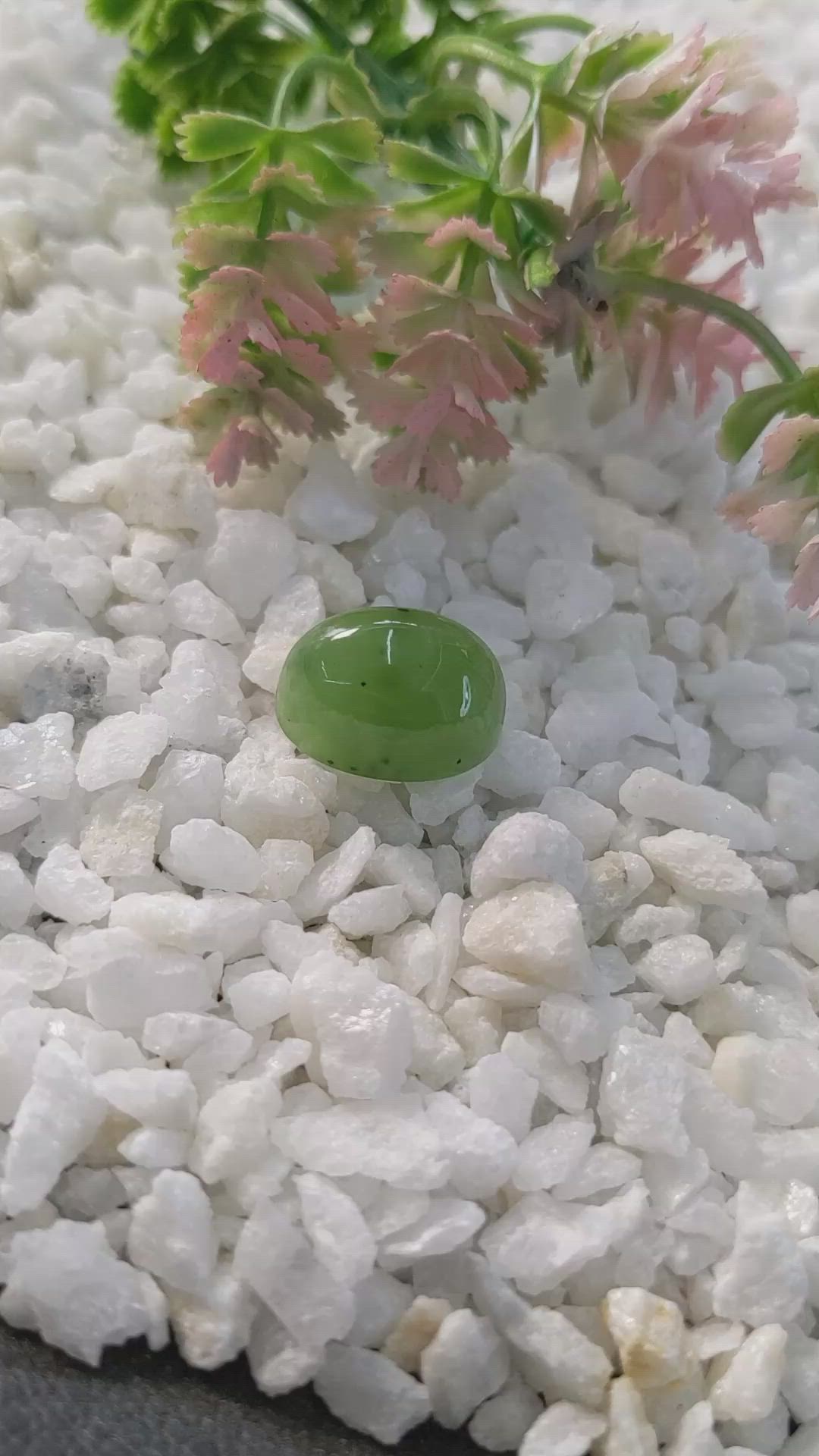 20.70 Ct. Cabochon Jade from Burma (Myanmar) Size Video