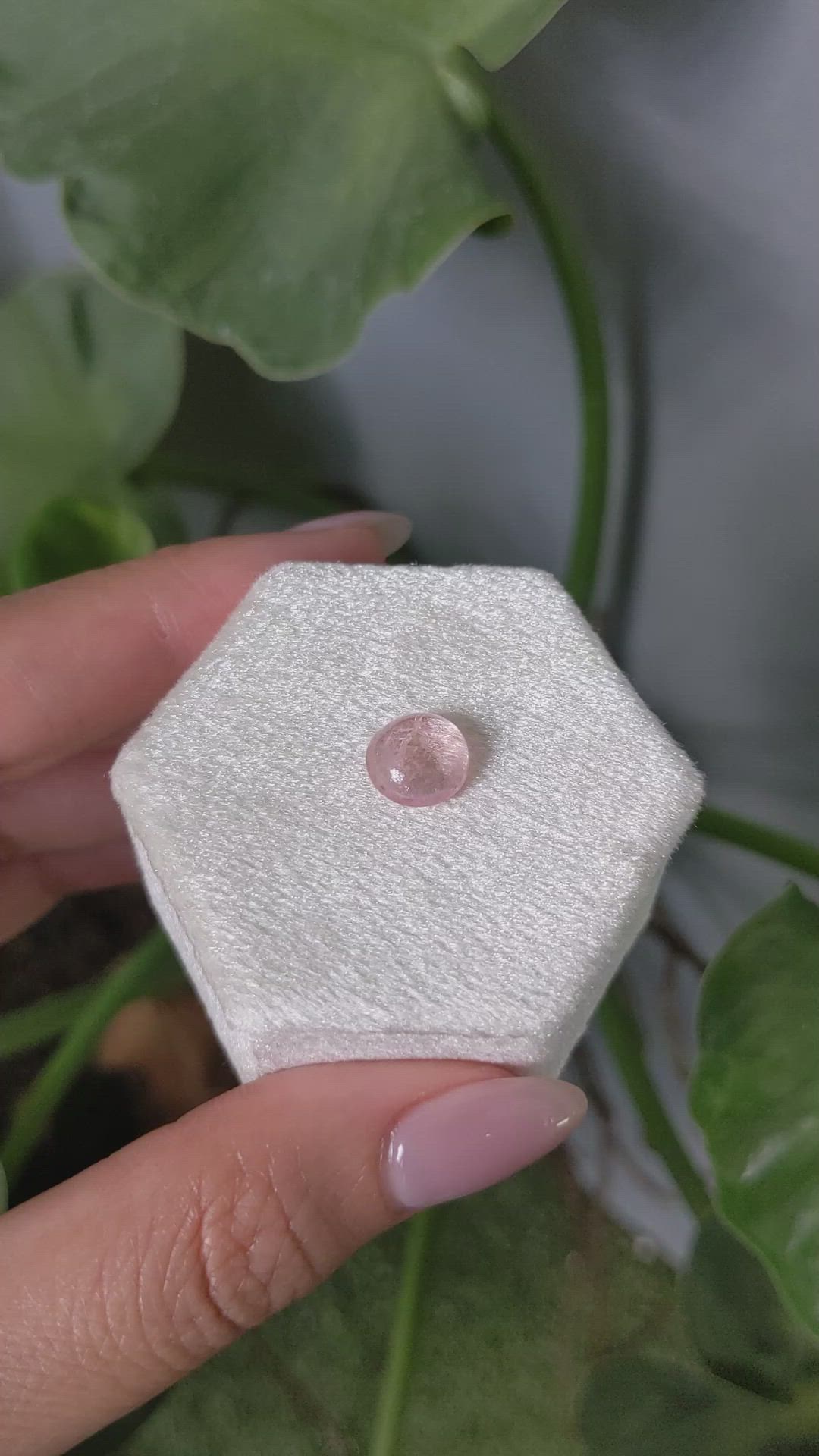 2.19 Ct. Cabochon Morganite from Brazil Size Video