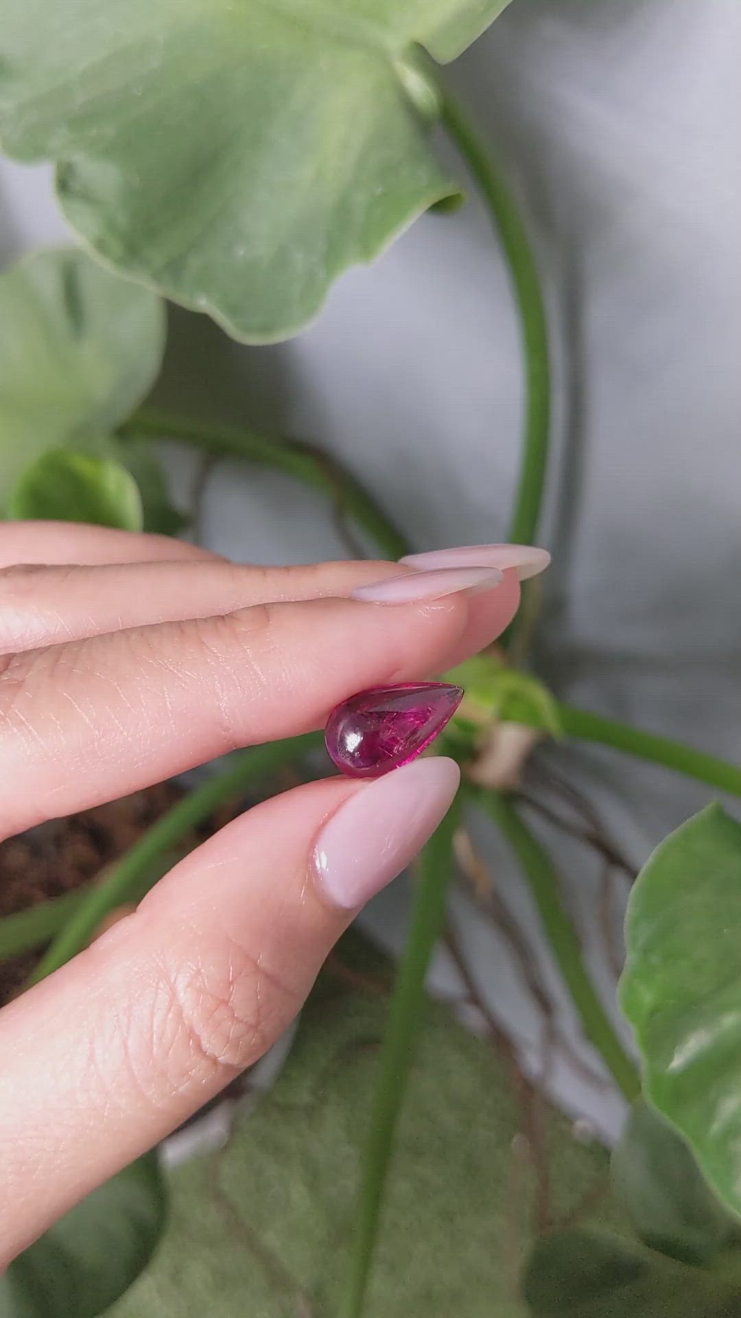 3.75 Ct. Cabochon Tourmaline from Brazil Size Video