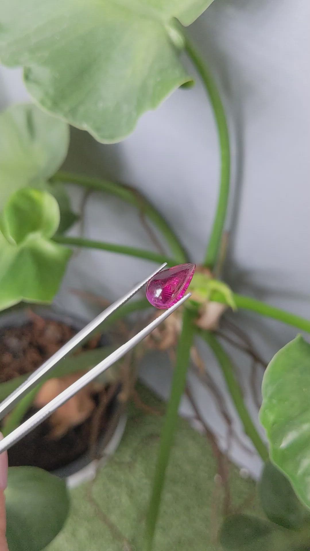 3.75 Ct. Cabochon Tourmaline from Brazil Size Video