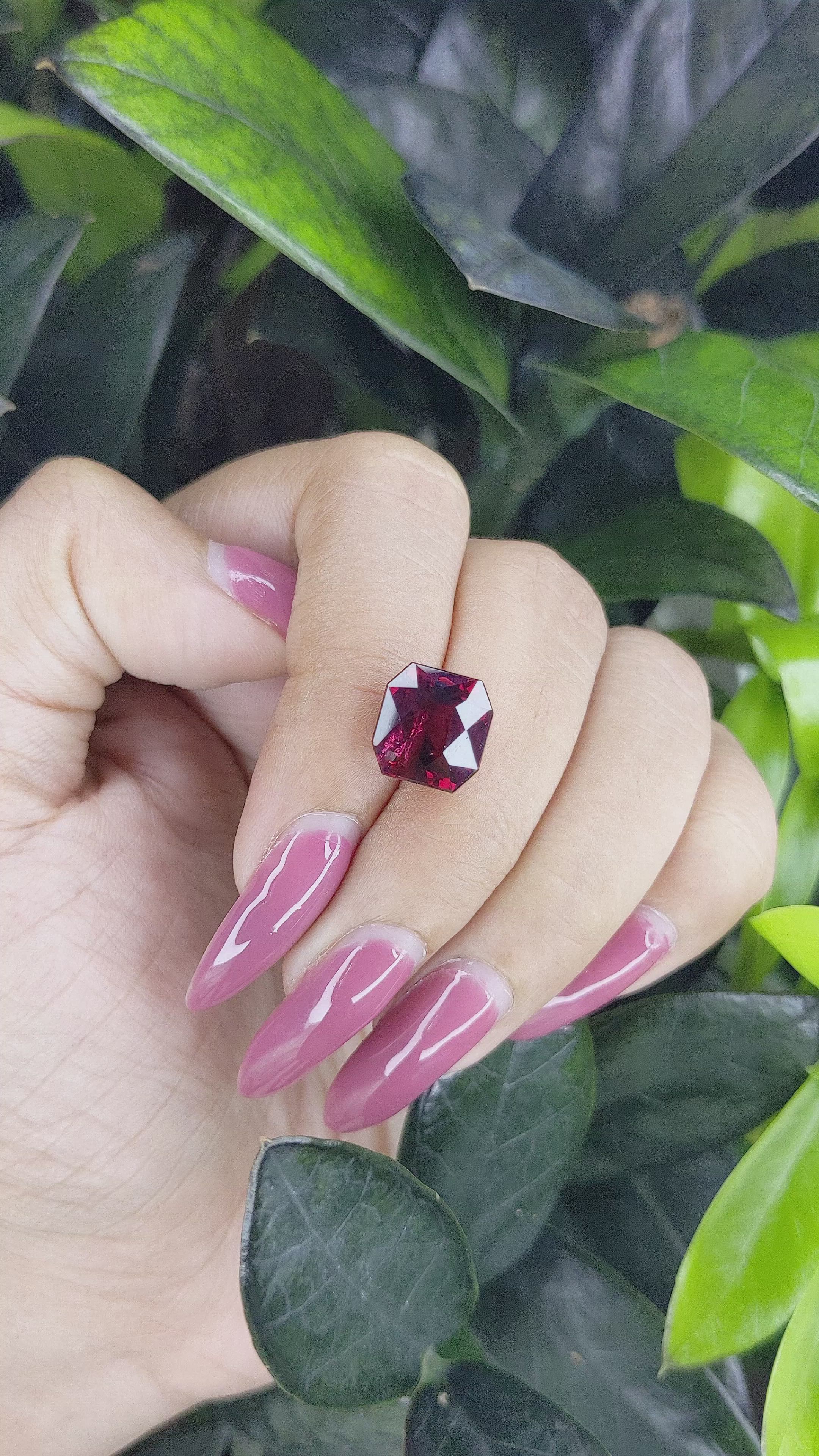 6.66 Ct. Garnet from Tanzania Size Video