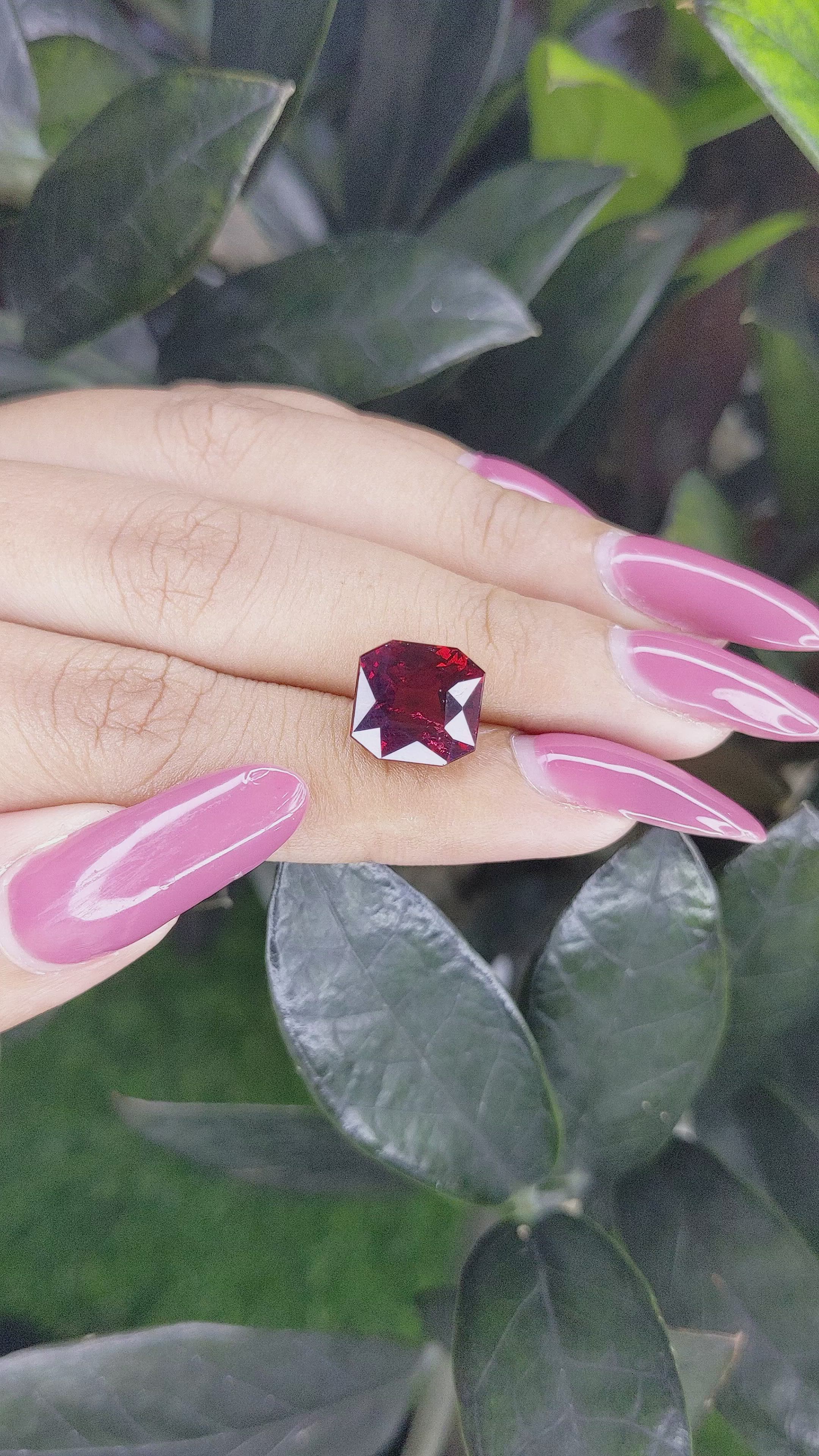 6.66 Ct. Garnet from Tanzania Size Video