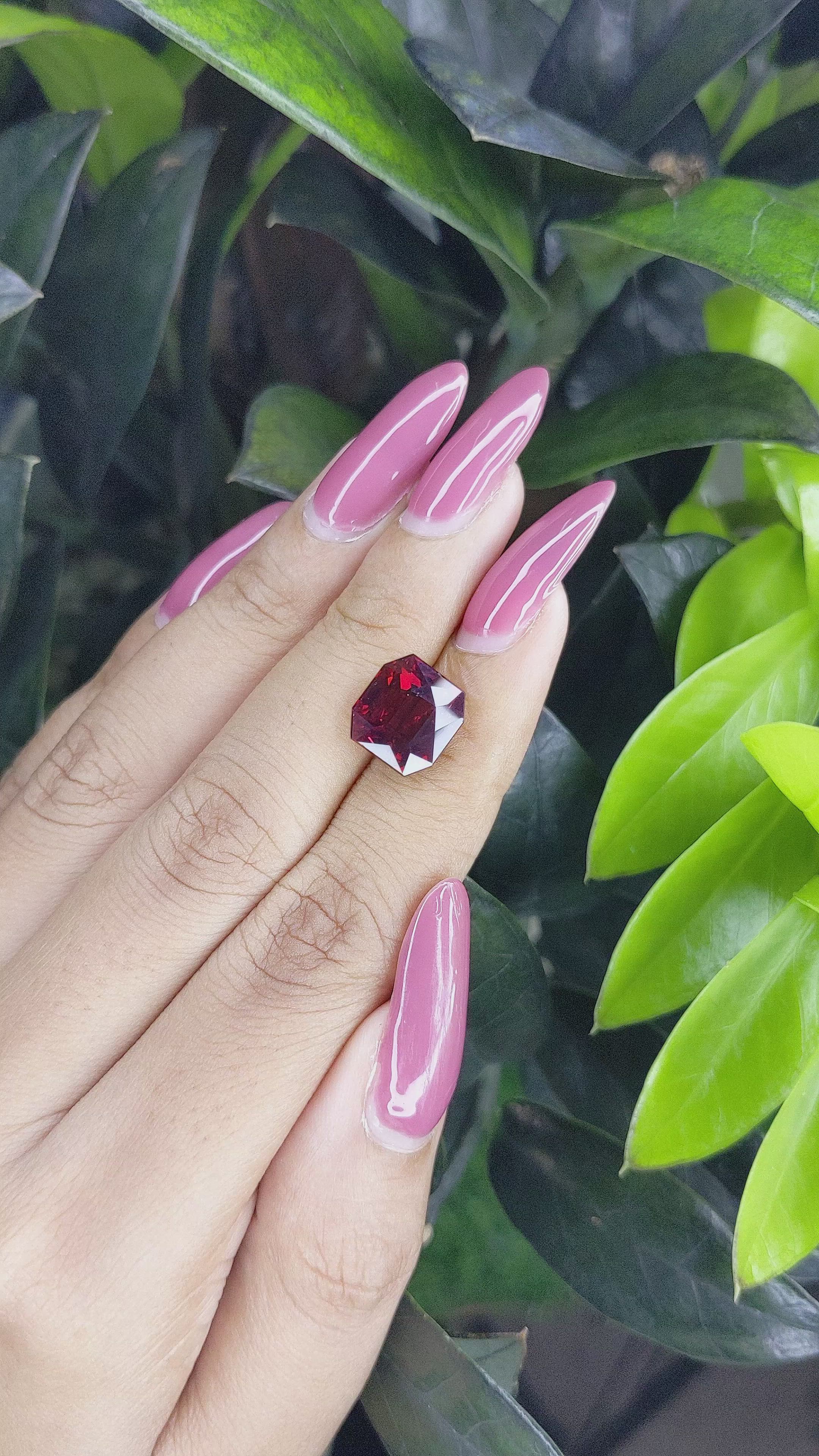 6.66 Ct. Garnet from Tanzania Size Video