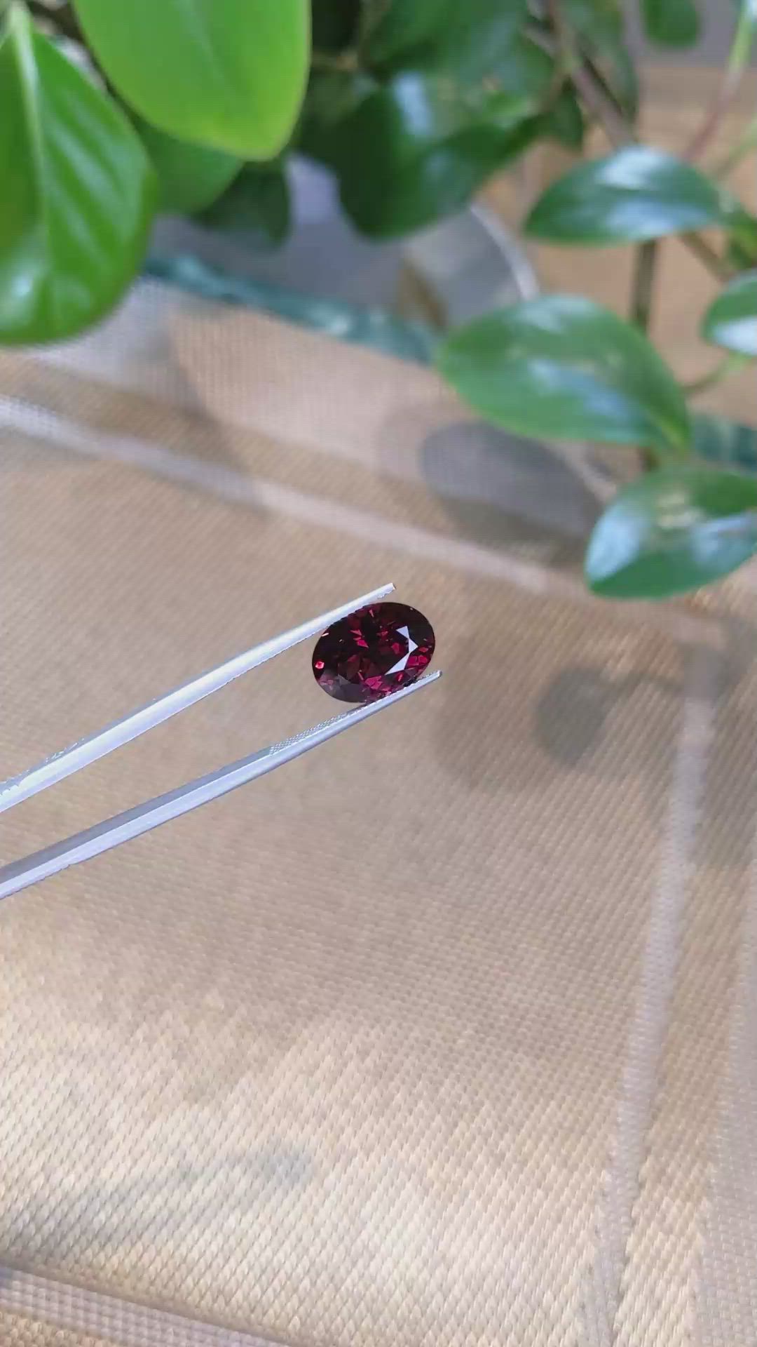 6.89 Ct. Garnet from Tanzania Size Video