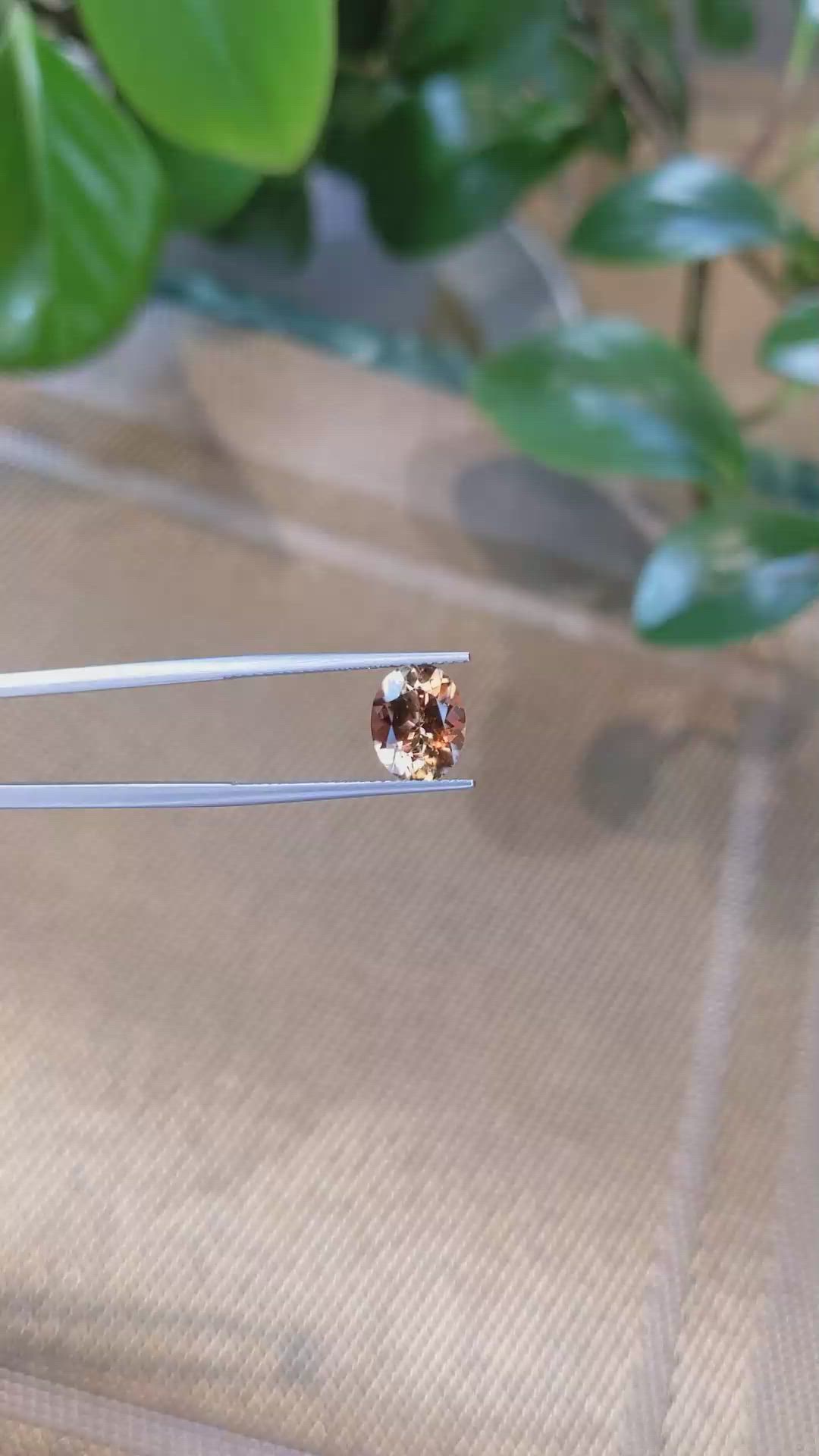 2.23 Ct. Tourmaline from Mozambique Size Video