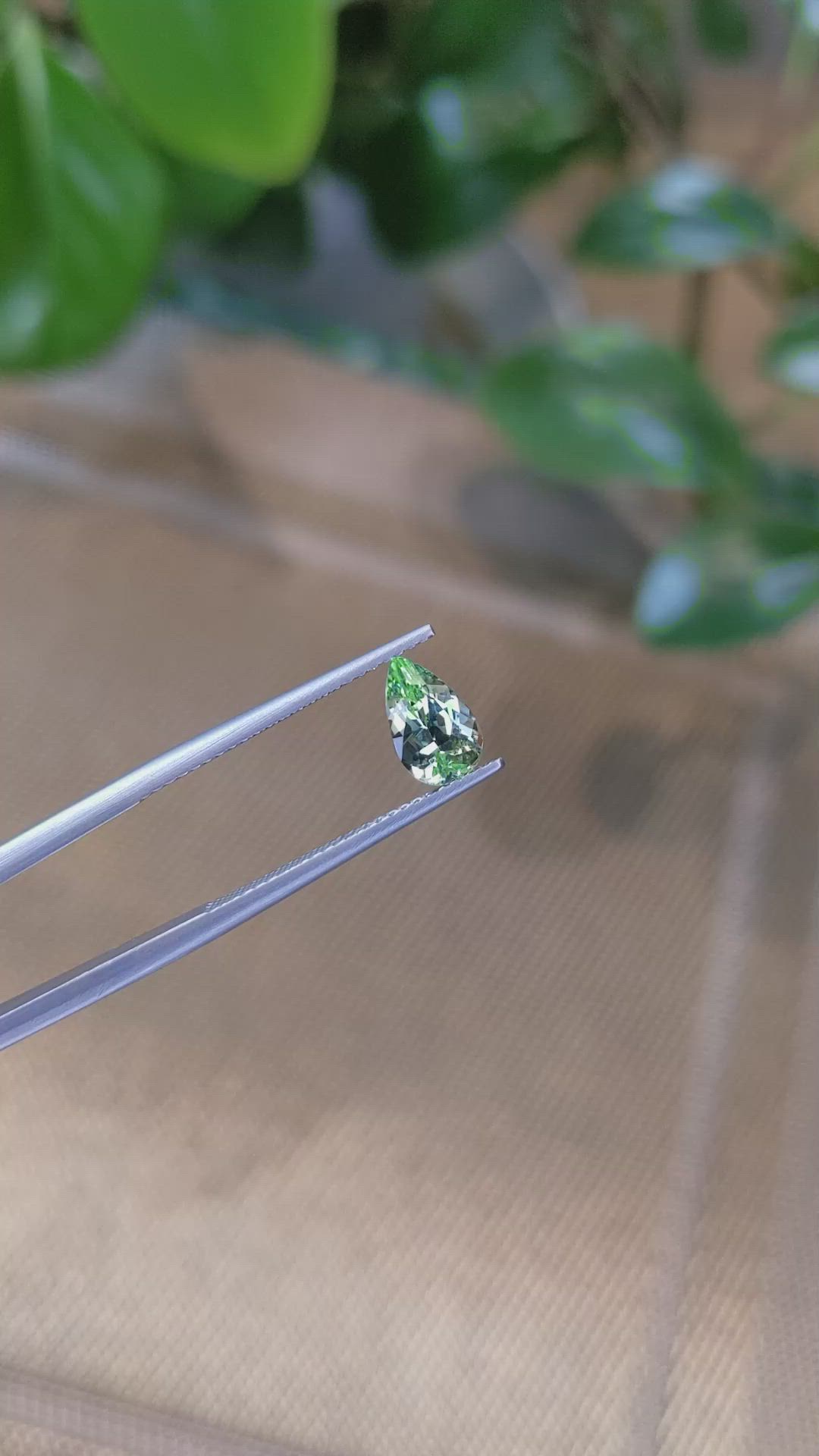 1.23 Ct. Garnet from Tanzania Size Video