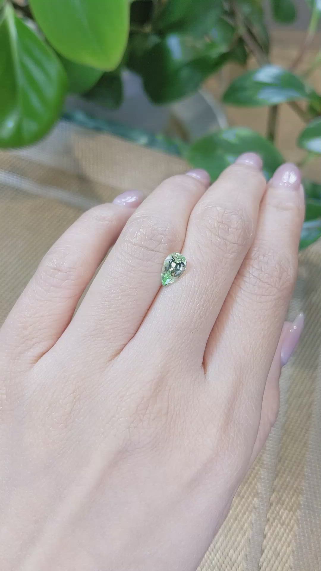 1.23 Ct. Garnet from Tanzania Size Video