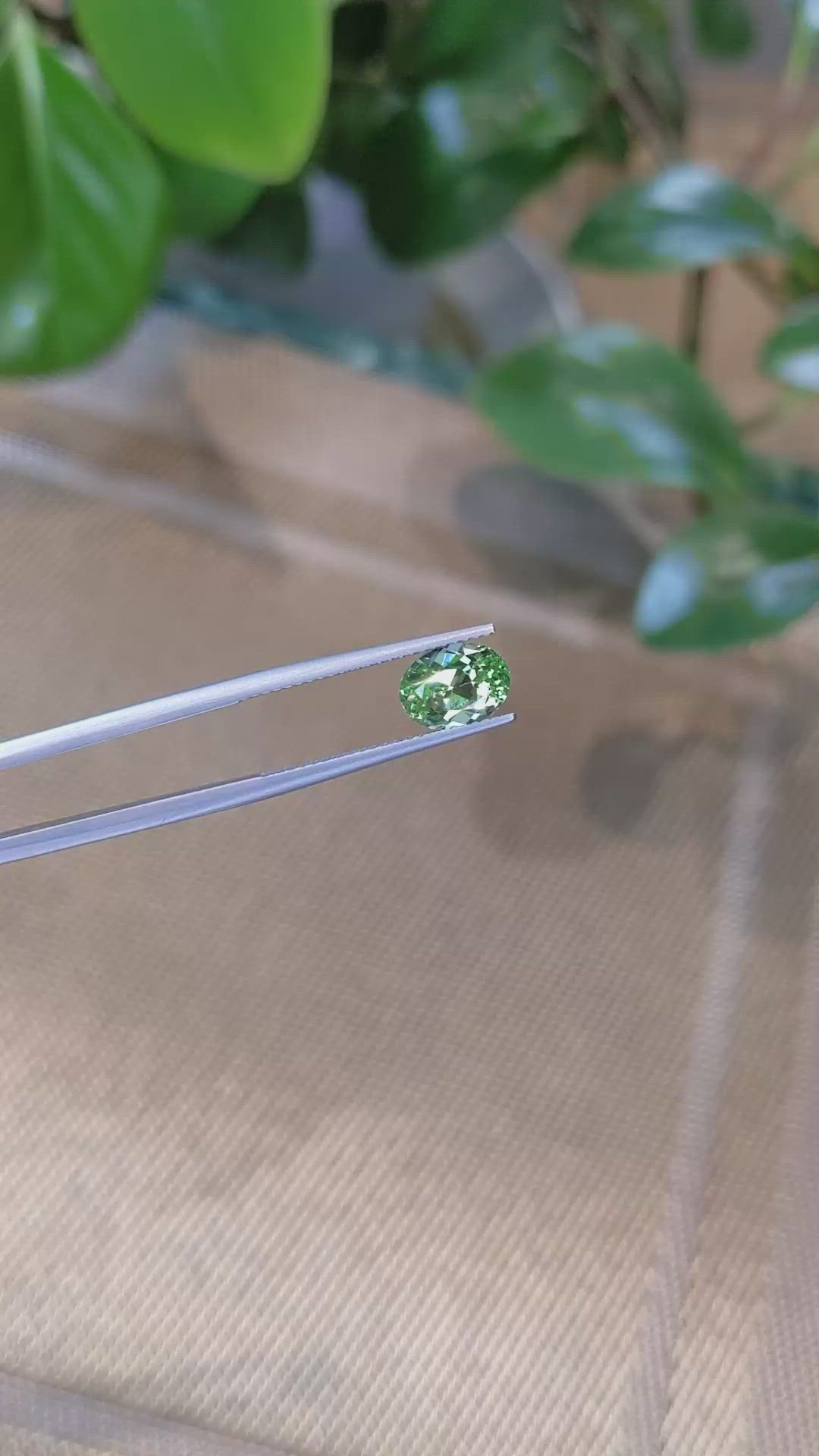 2.44 Ct. Tsavorite Garnet from Tanzania Size Video