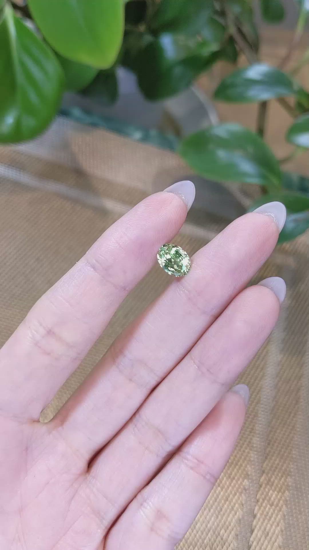 2.24 Ct. Garnet from Tanzania Size Video