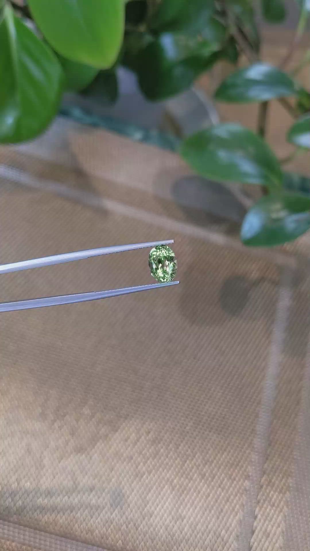 2.24 Ct. Garnet from Tanzania Size Video