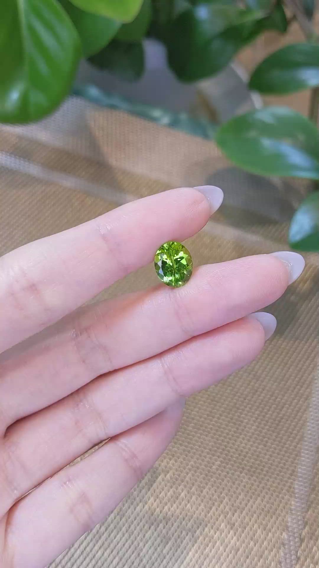 3.42 Ct. Peridot from Burma (Myanmar) Size Video