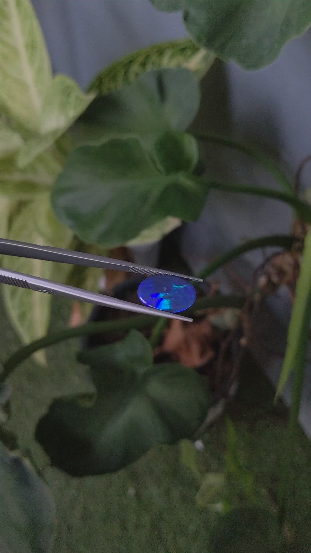 4.37 Ct. Black Opal from Australia Size Video