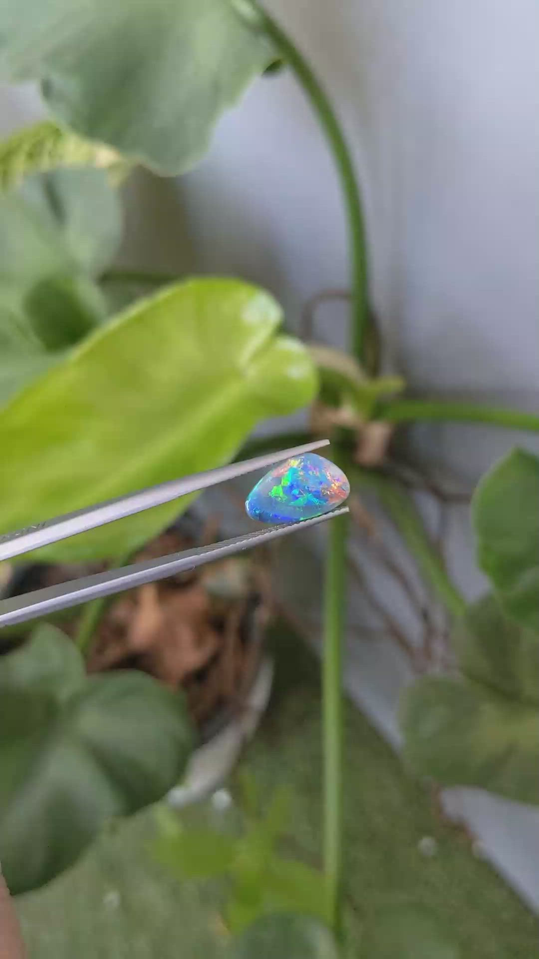 1.89 Ct. Black Opal from Australia Size Video