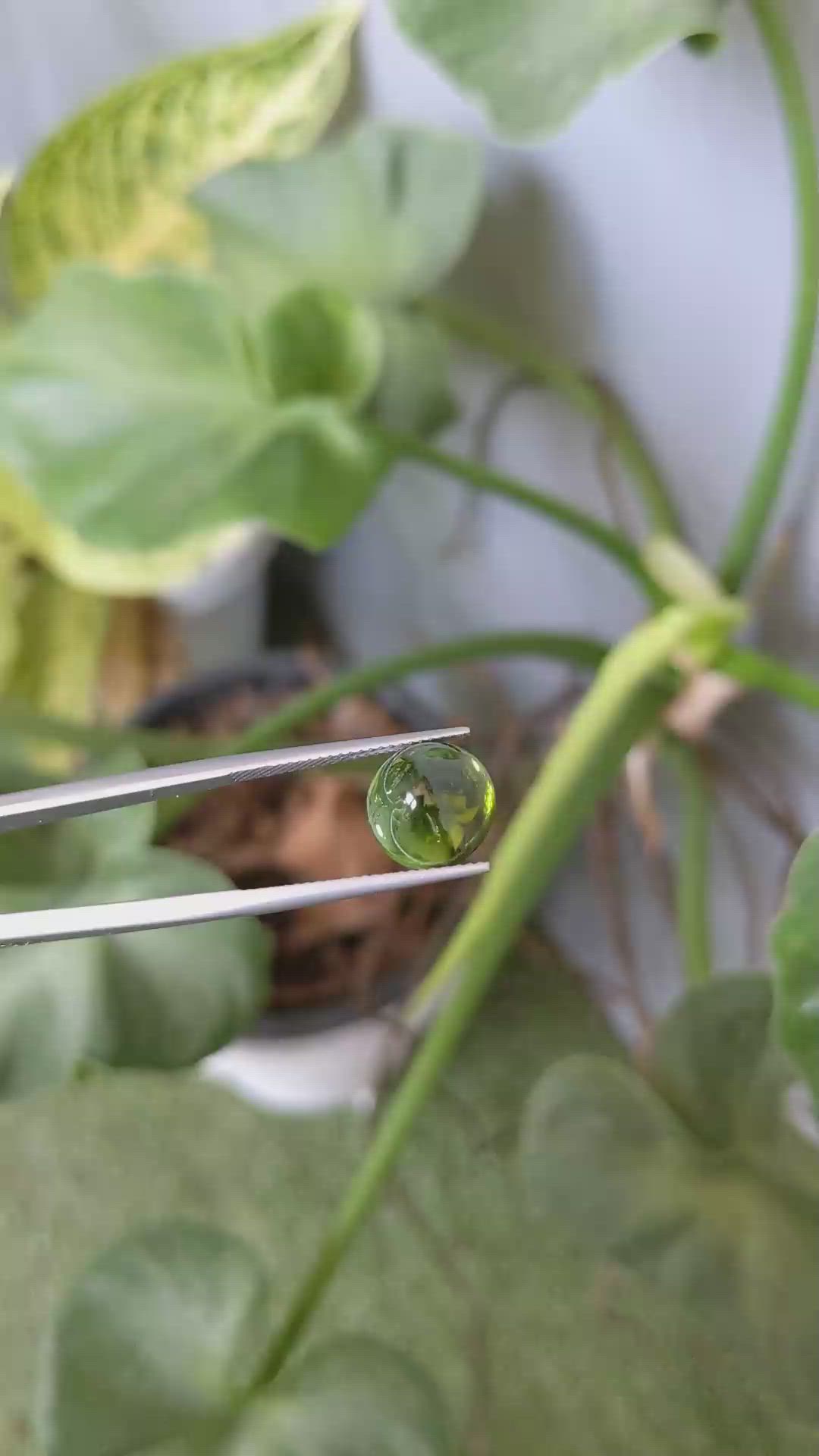 5.05 Ct. Cabochon Tourmaline from Mozambique Size Video