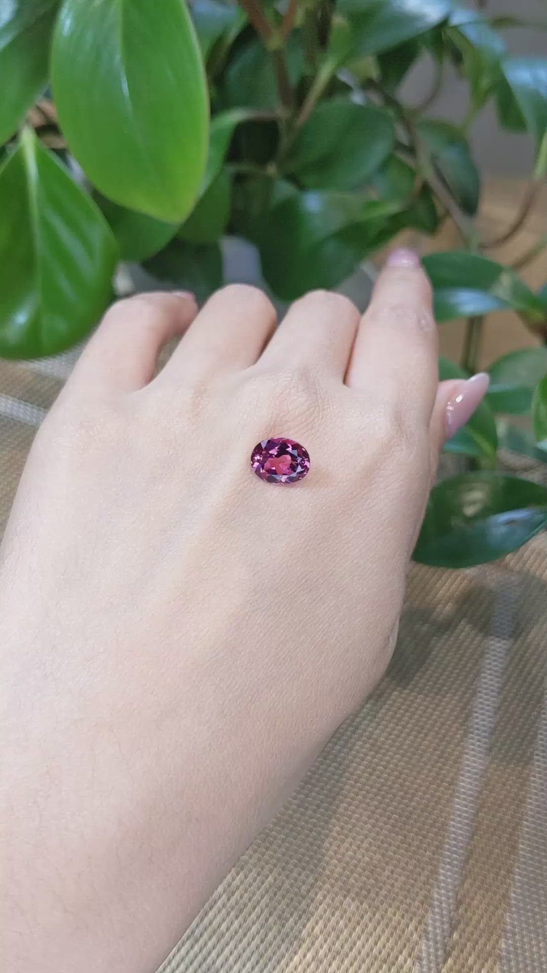 2.66 Ct. Tourmaline from Mozambique Size Video