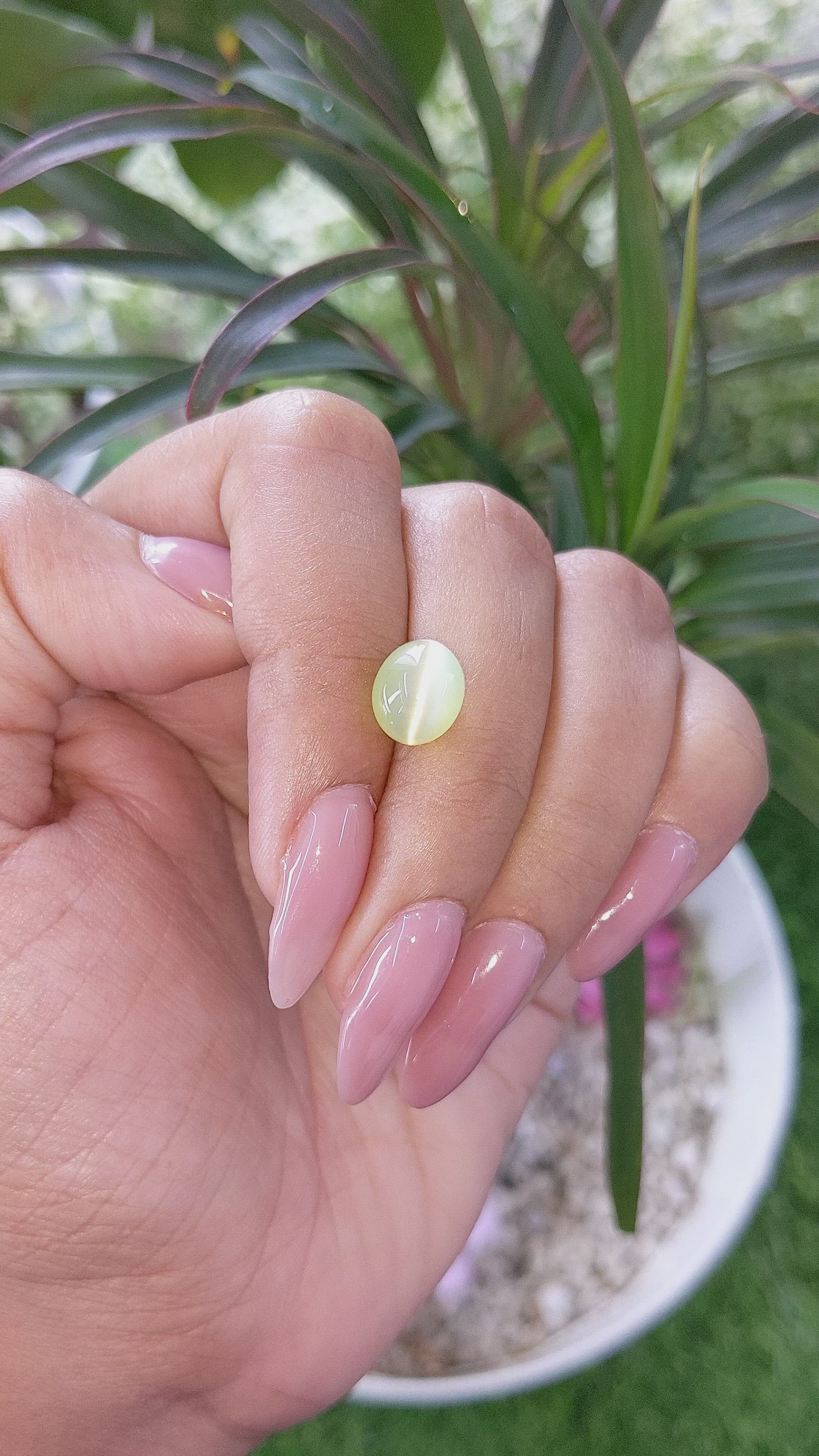 4.40 Ct. Cabochon Chrysoberyl from Ceylon (Sri Lanka) Size Video