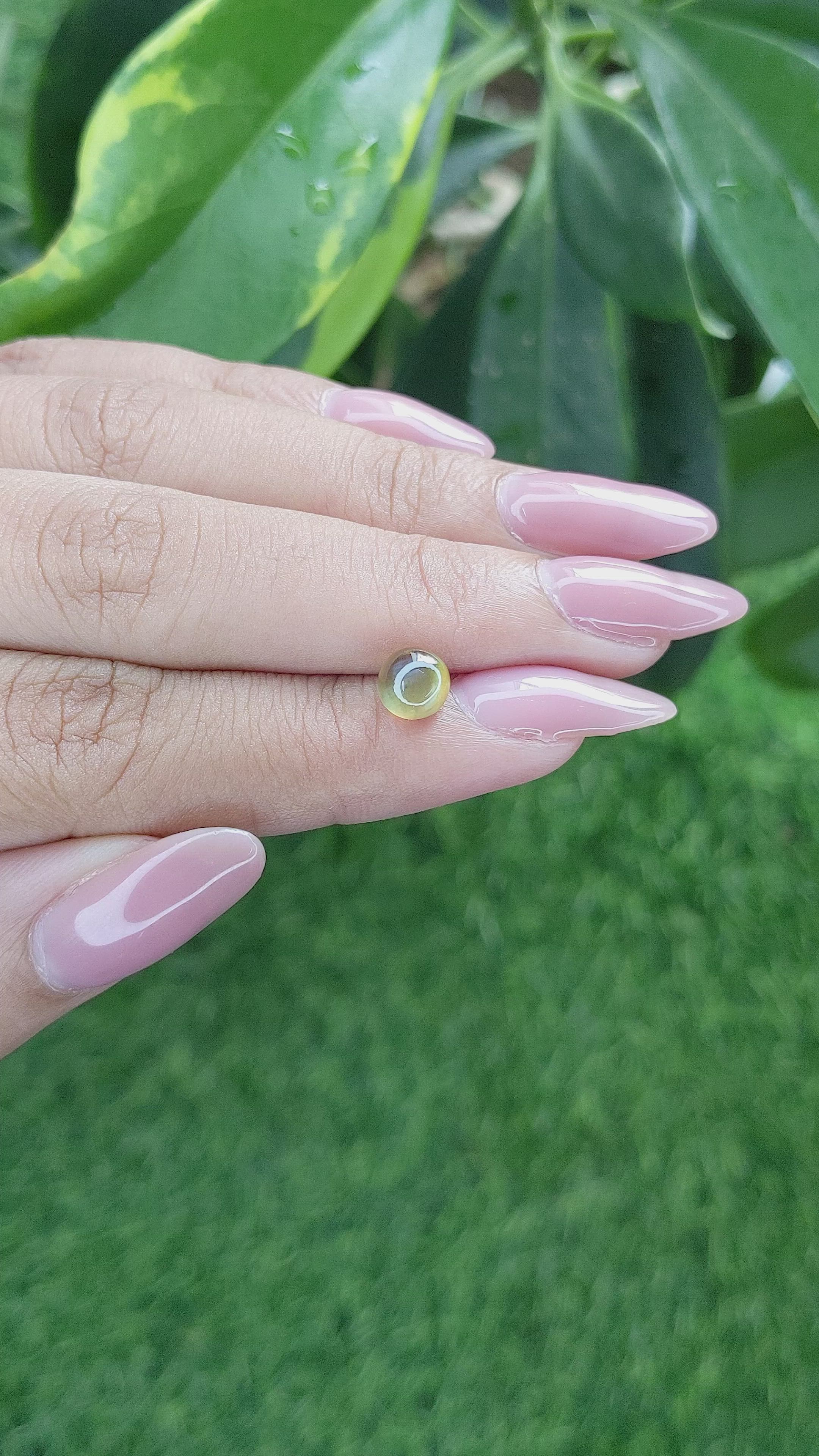 1.72 Ct. Cabochon Chrysoberyl from Ceylon (Sri Lanka) Size Video