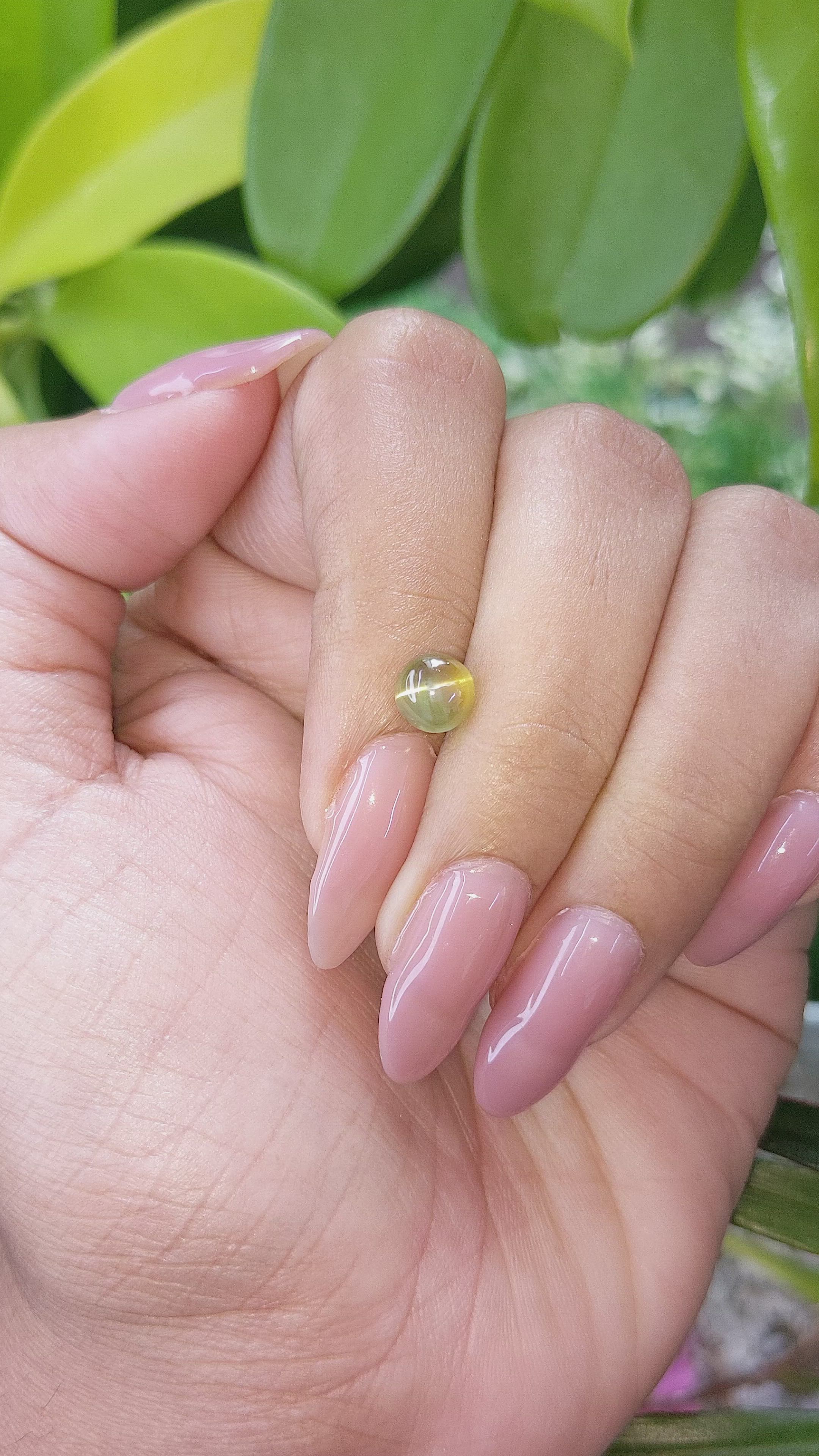 1.72 Ct. Cabochon Chrysoberyl from Ceylon (Sri Lanka) Size Video