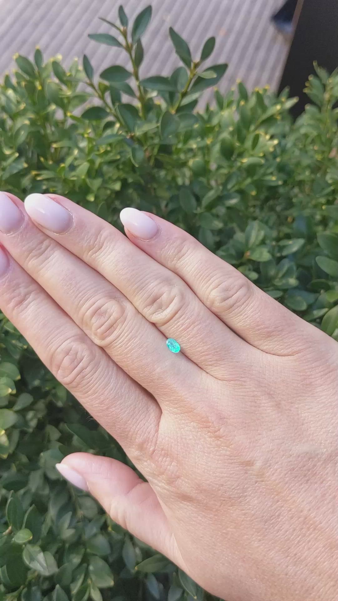 0.22 Ct. Paraiba Tourmaline from Brazil Size Video