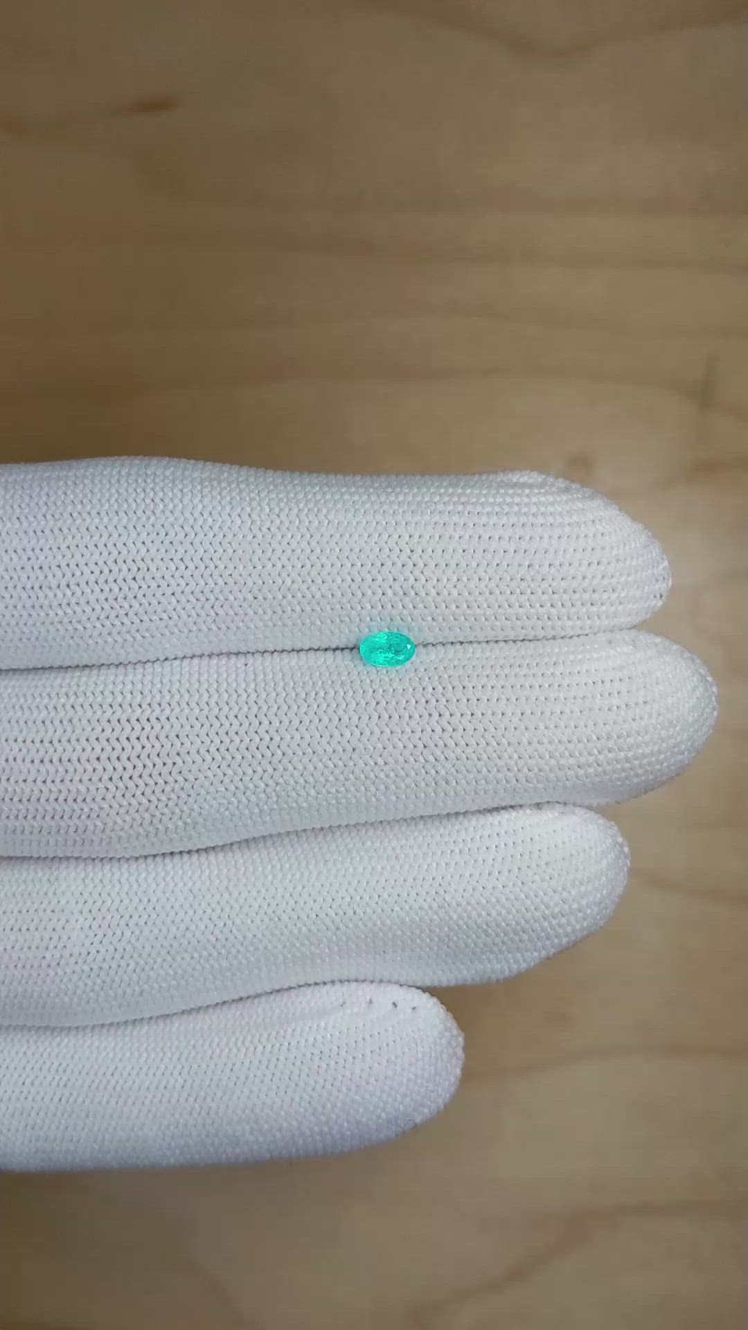 0.22 Ct. Paraiba Tourmaline from Brazil Size Video