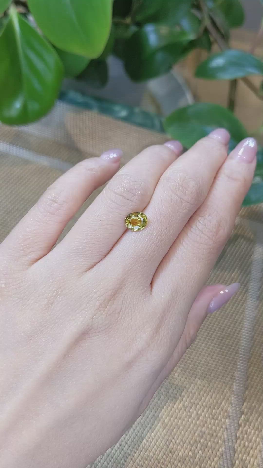 1.72 Ct. Zircon from Ceylon (Sri Lanka) Size Video