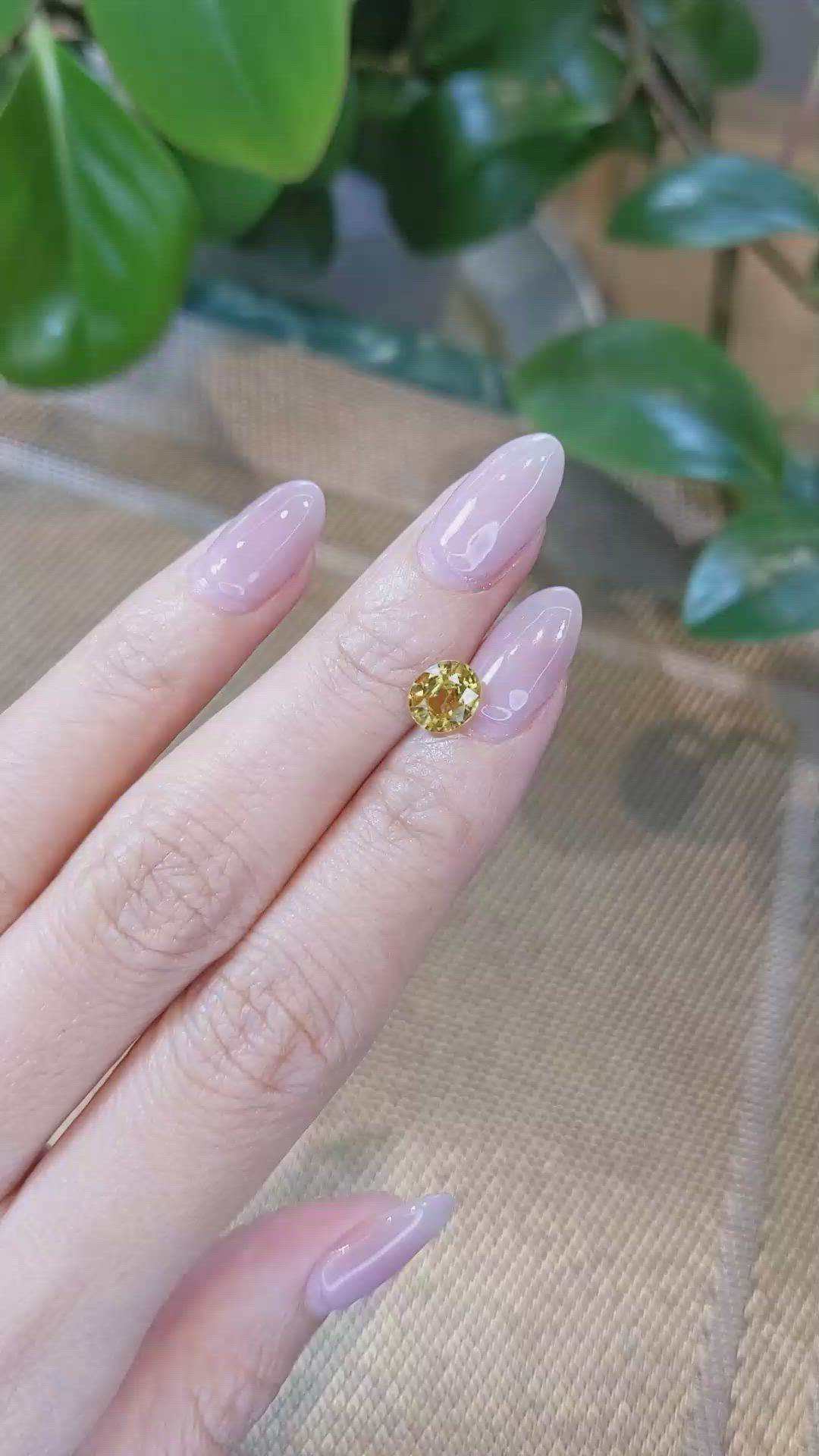 1.72 Ct. Zircon from Ceylon (Sri Lanka) Size Video