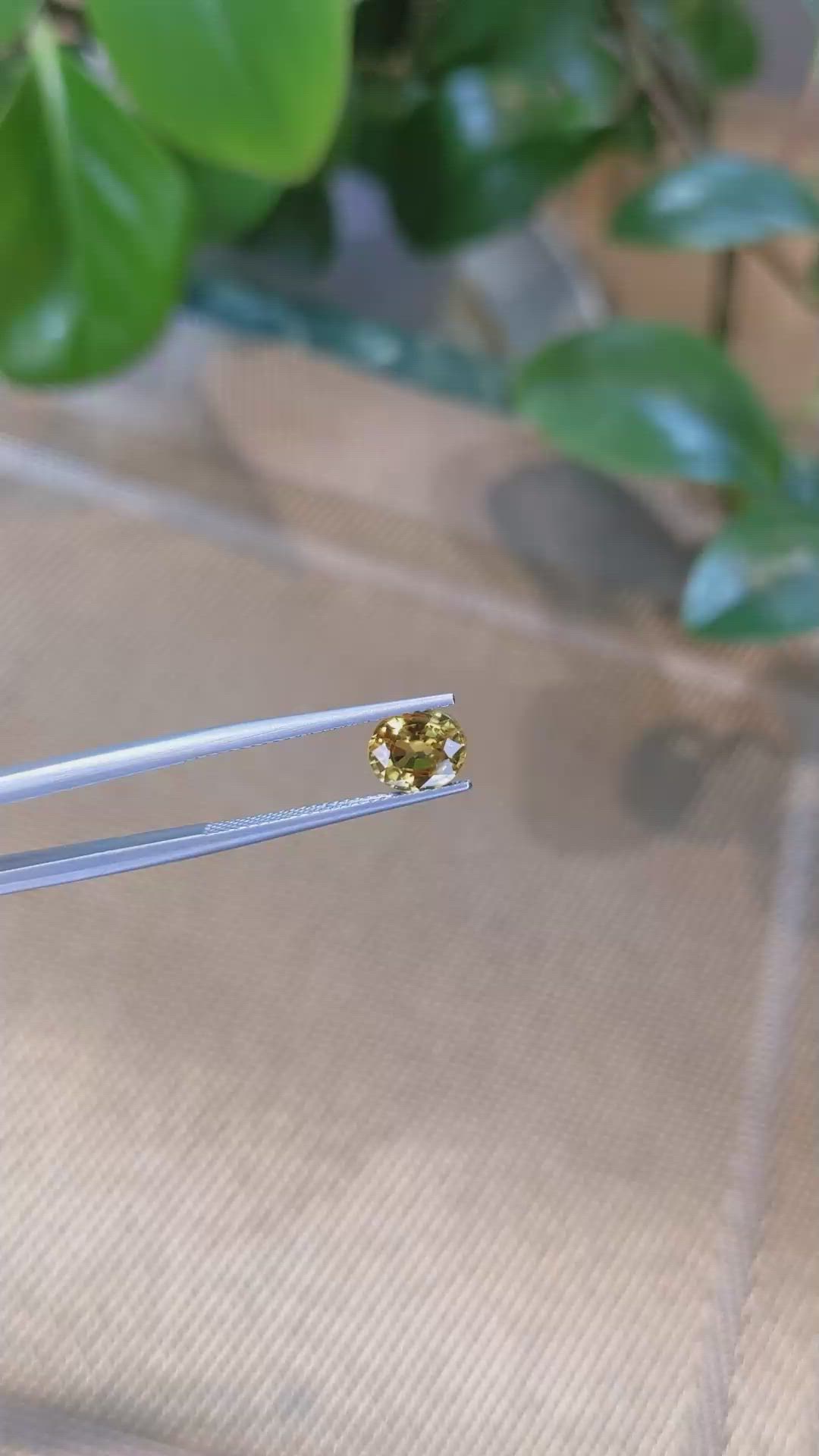1.72 Ct. Zircon from Ceylon (Sri Lanka) Size Video
