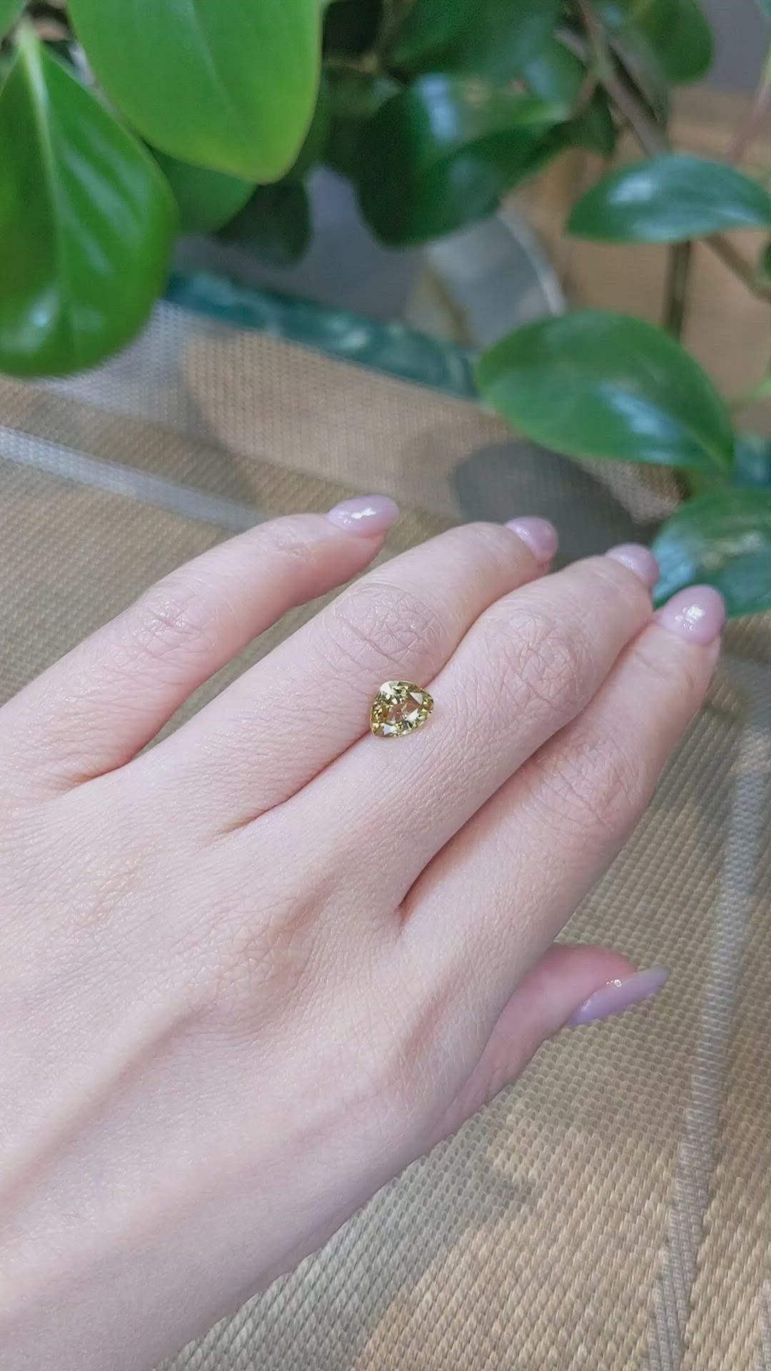 1.82 Ct. Zircon from Ceylon (Sri Lanka) Size Video