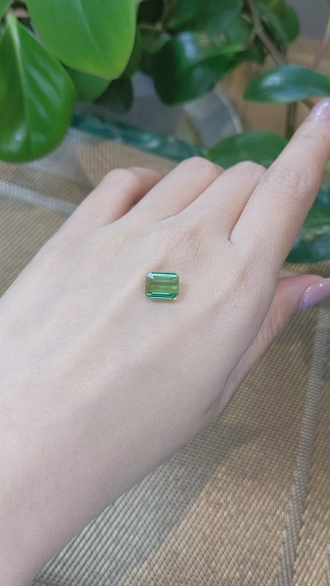 2.58 Ct. Tourmaline from Mozambique Size Video