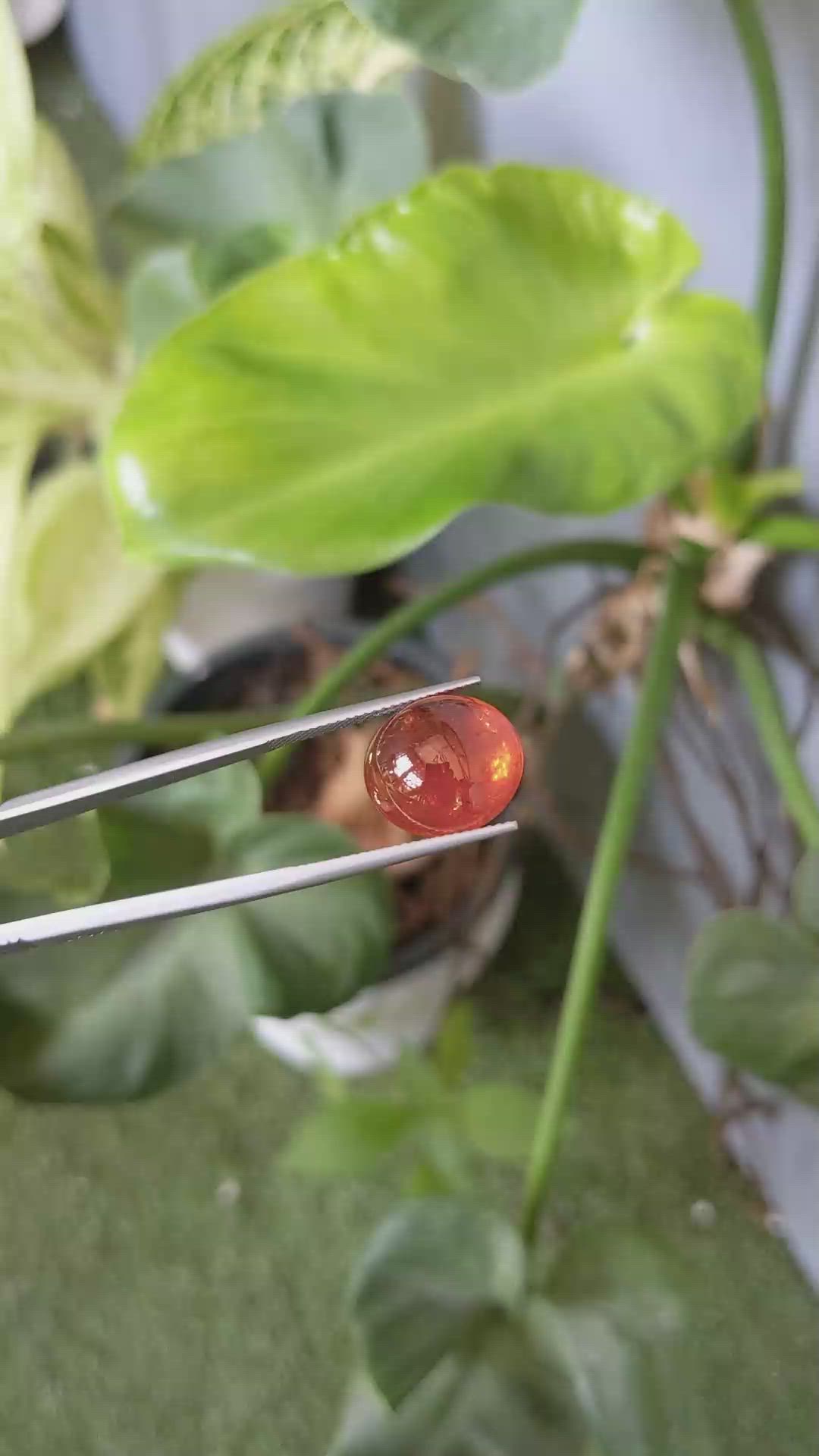 16.01 Ct. Cabochon Spessartite Garnet from Madagascar Size Video