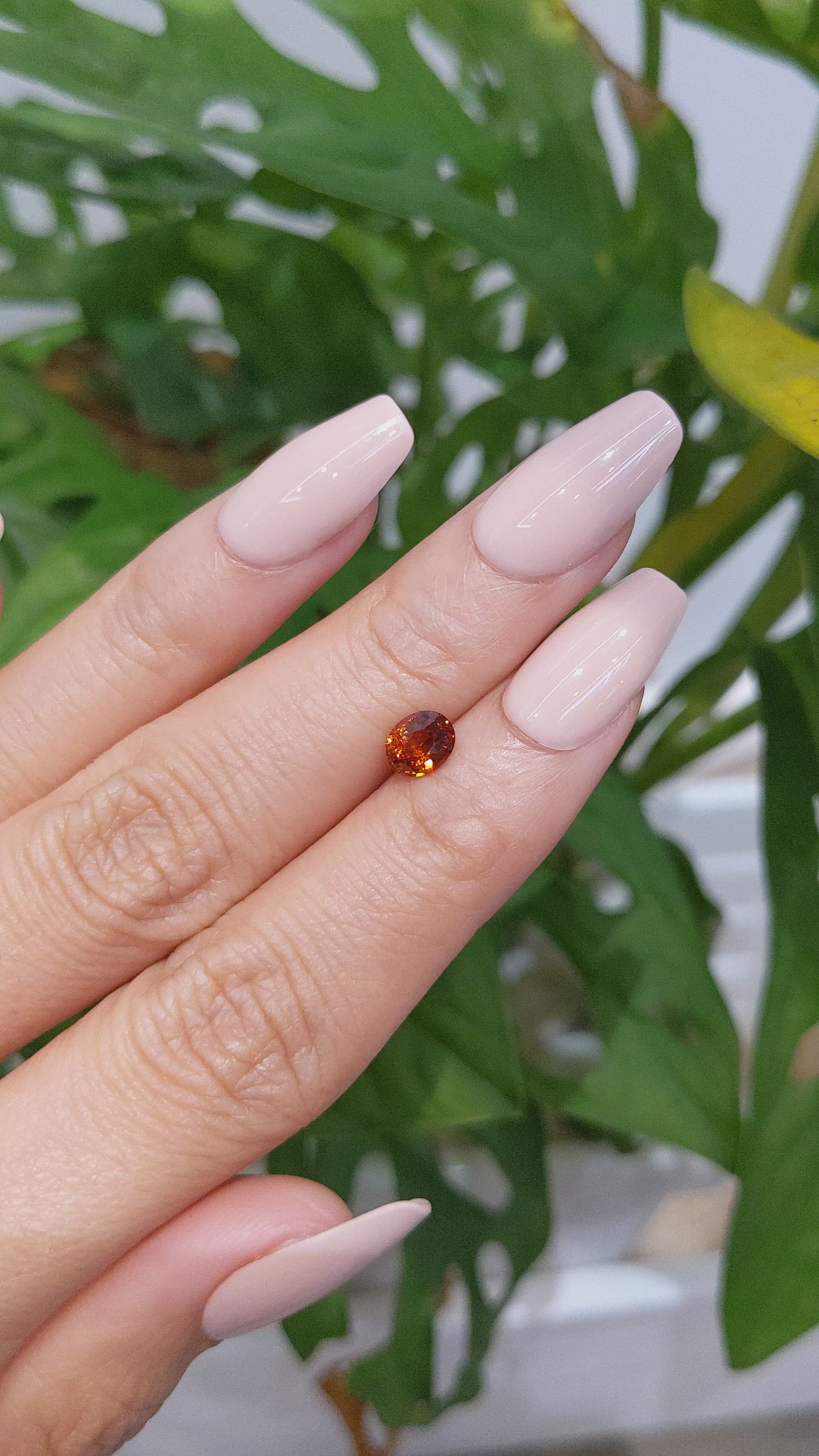 0.80 Ct. Hessonite Garnet from Ceylon (Sri Lanka) Size Video