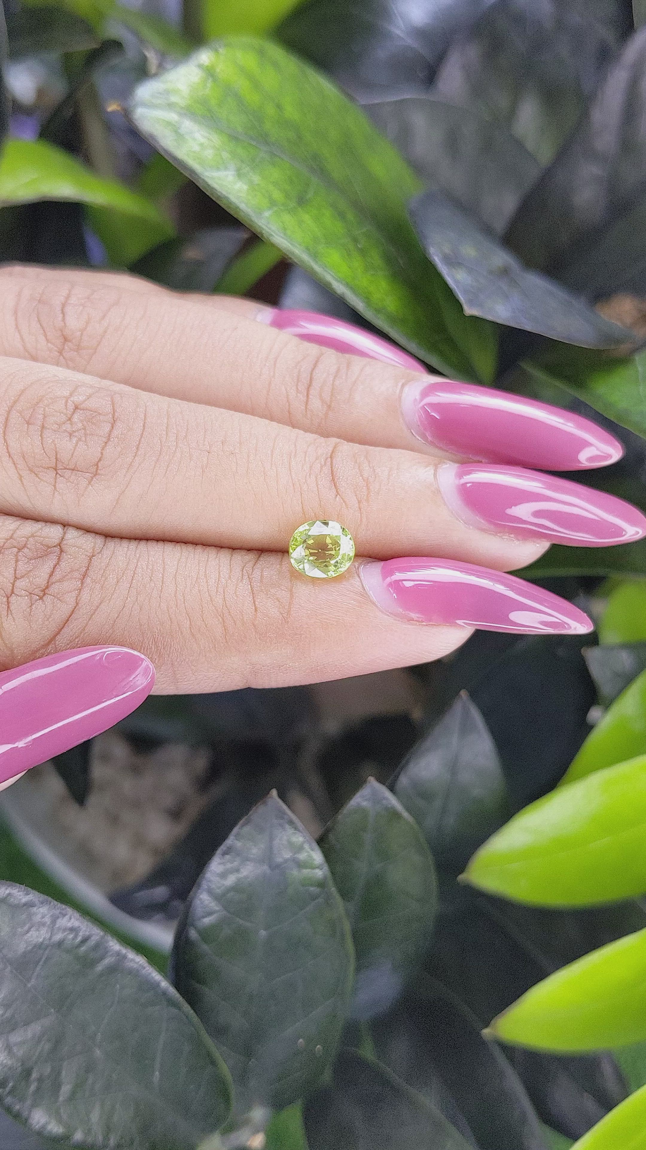 1.18 Ct. Chrysoberyl from Ceylon (Sri Lanka) Size Video