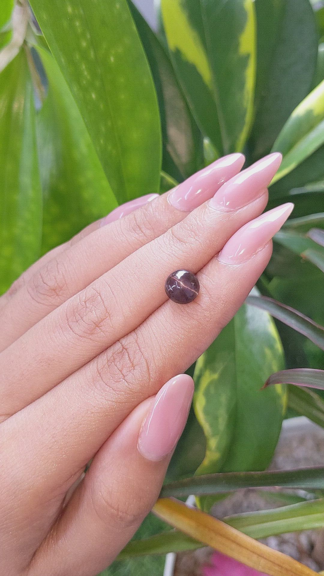 2.55 Ct. Cabochon Chrysoberyl from Ceylon (Sri Lanka) Size Video