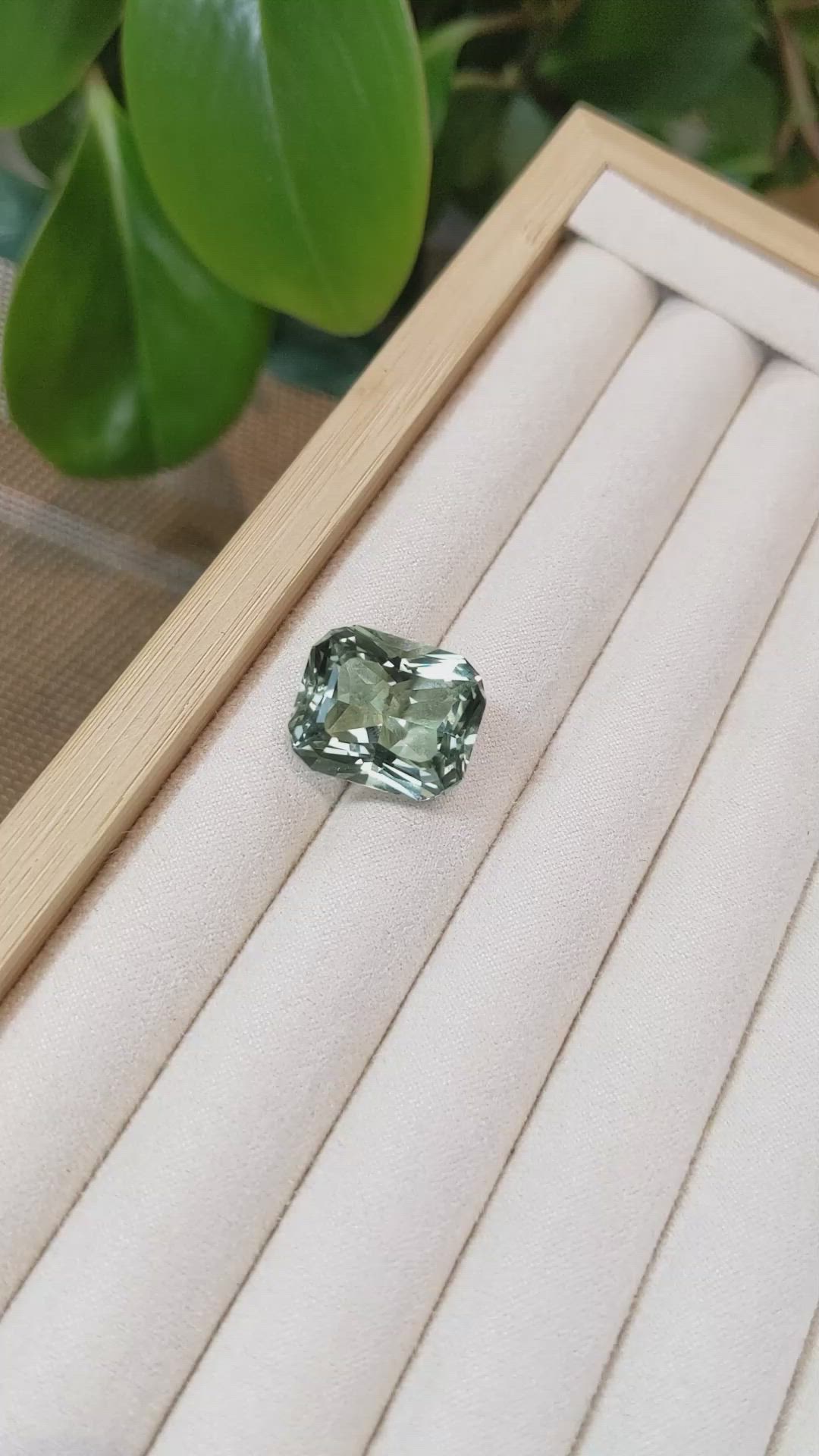 18.83 Ct. Prasiolite from Brazil Size Video