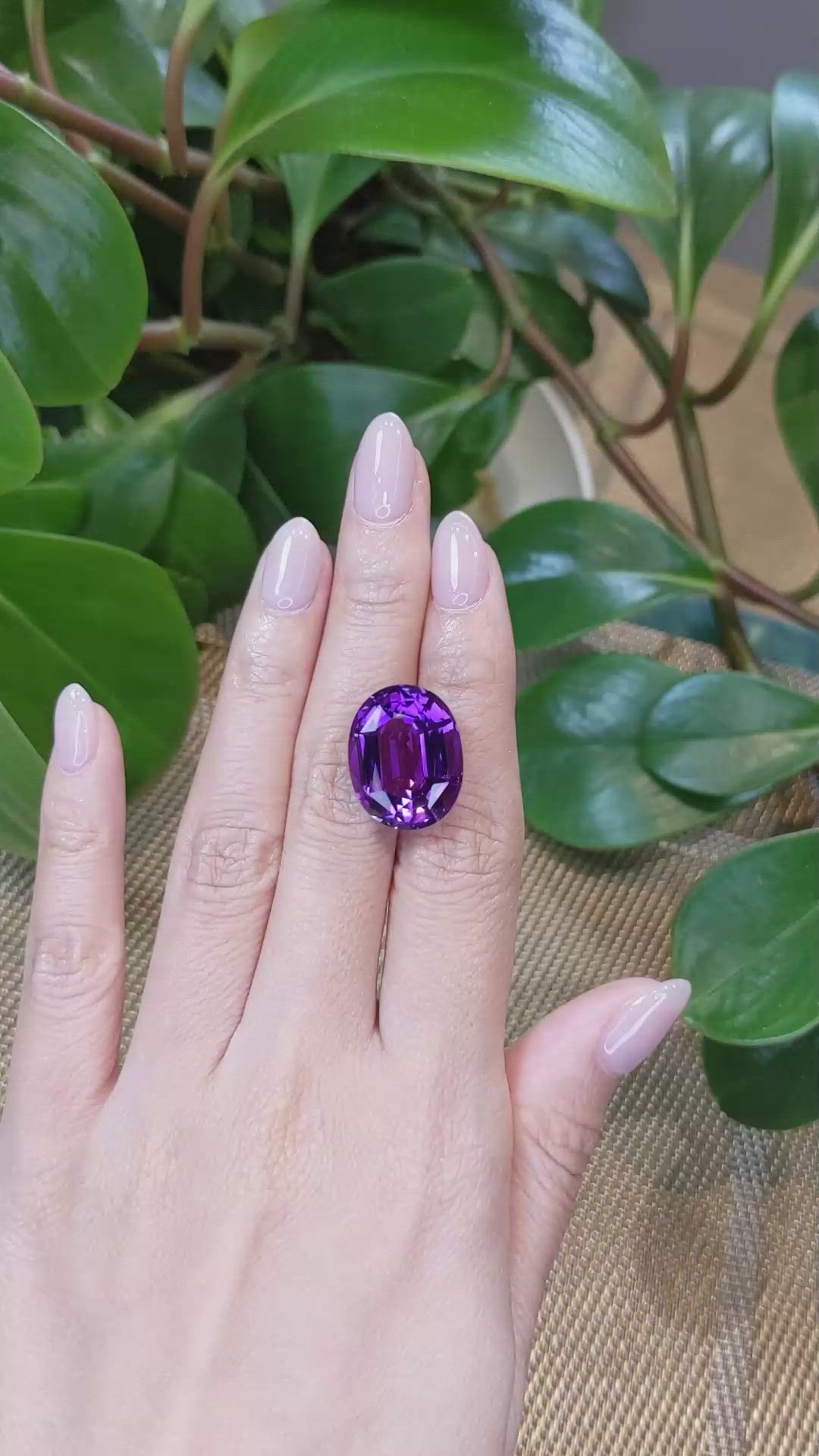 19.44 Ct. Amethyst from Bolivia Size Video