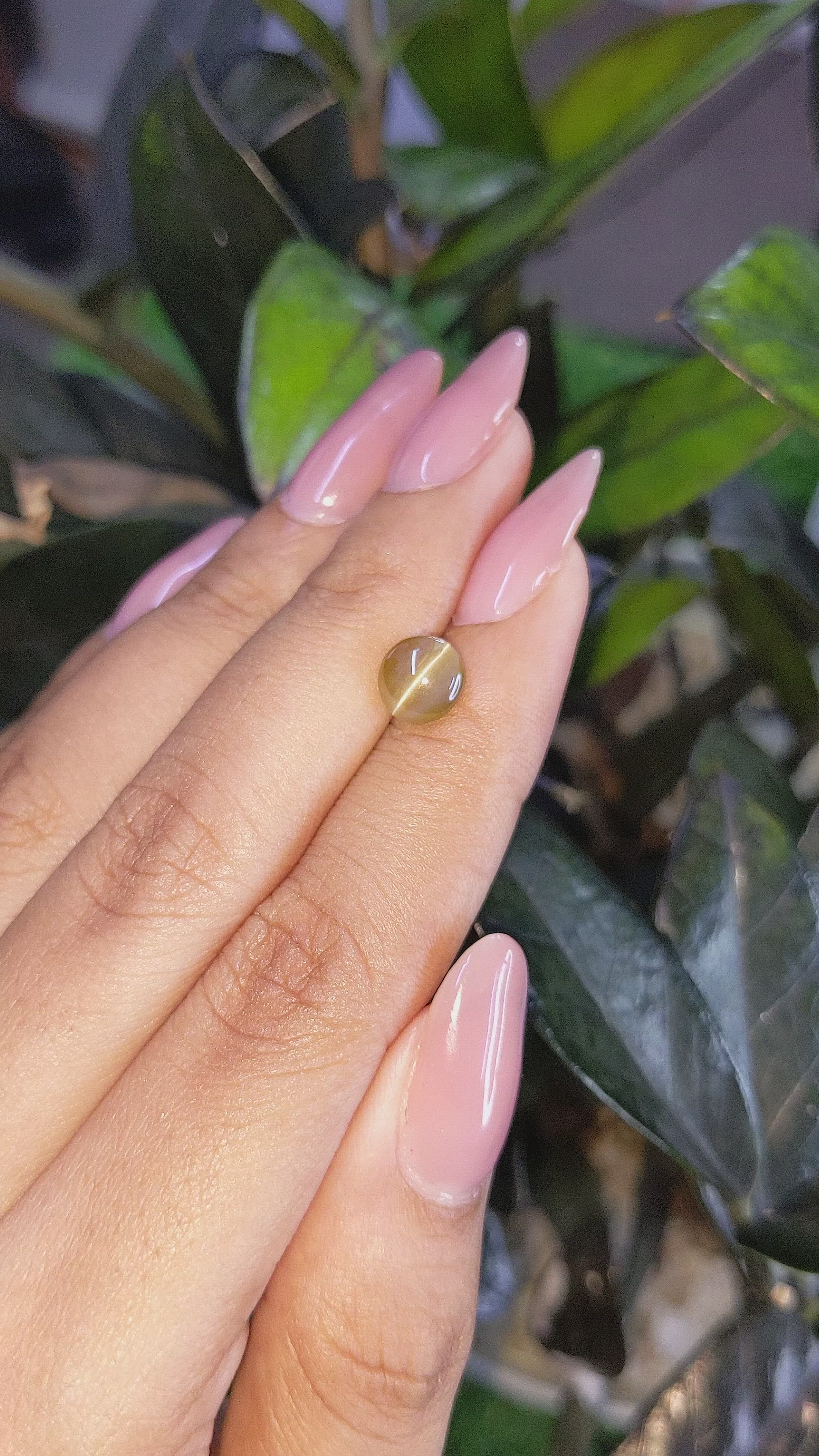 1.92 Ct. Cabochon Chrysoberyl from Ceylon (Sri Lanka) Size Video