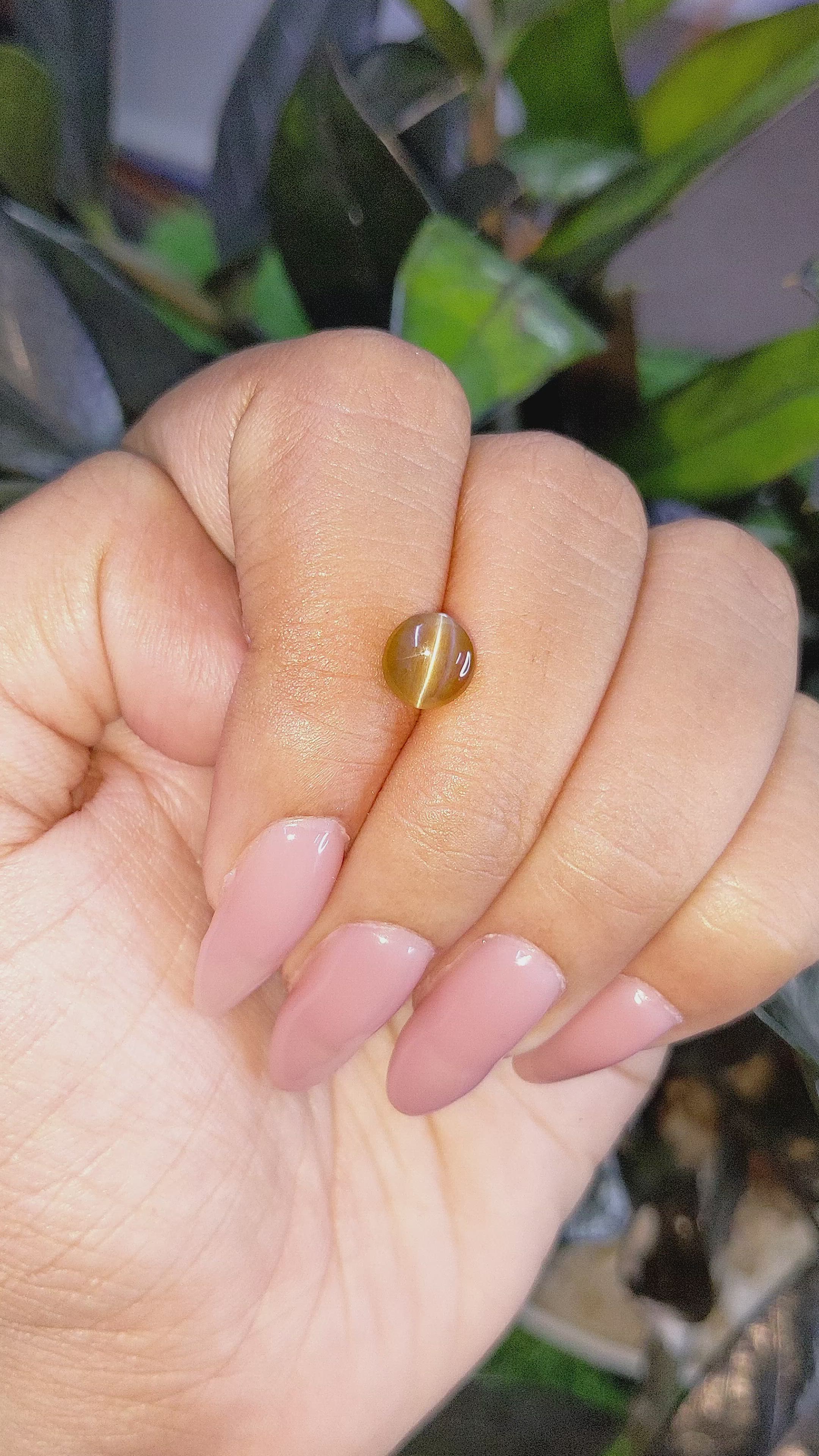 1.92 Ct. Cabochon Chrysoberyl from Ceylon (Sri Lanka) Size Video